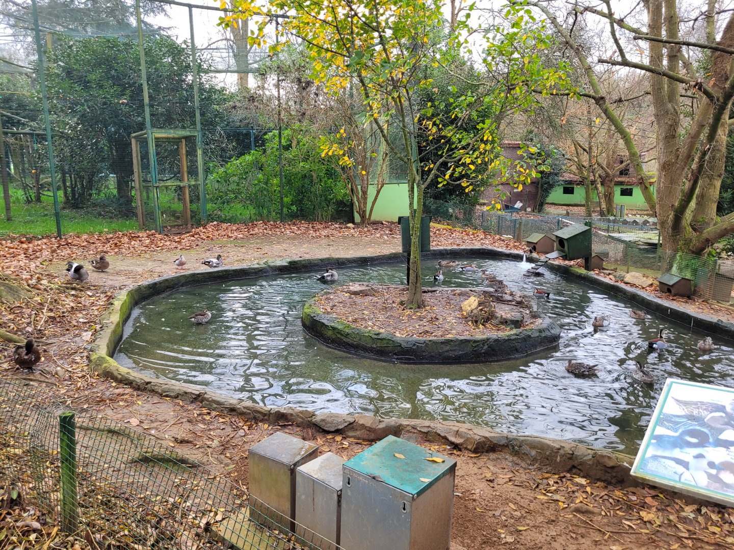 Waterfowl exhibit #6 -Zoo de Santillana del Mar (2023)