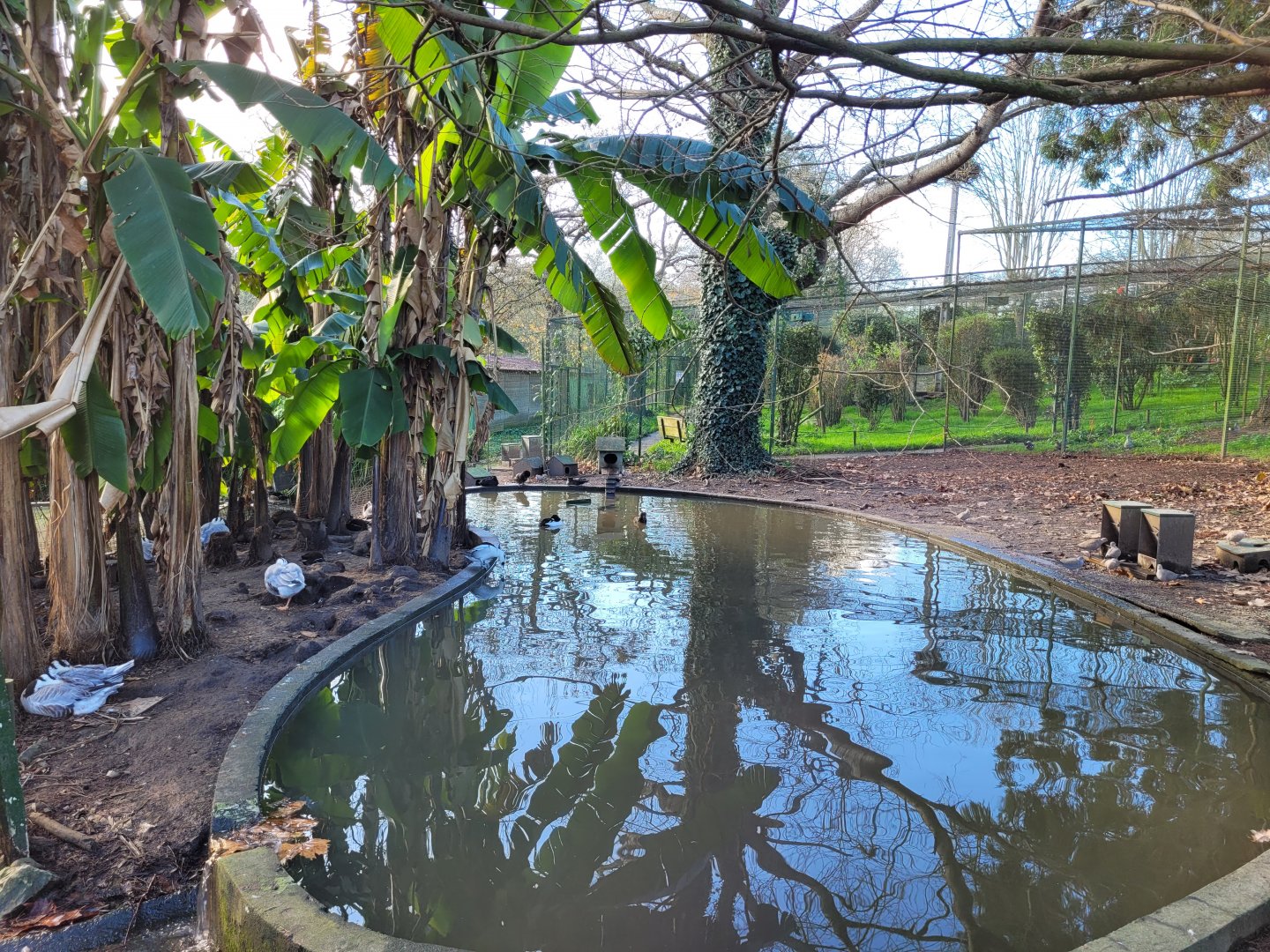 Waterfowl exhibit #9 -Zoo de Santillana del Mar (2023)