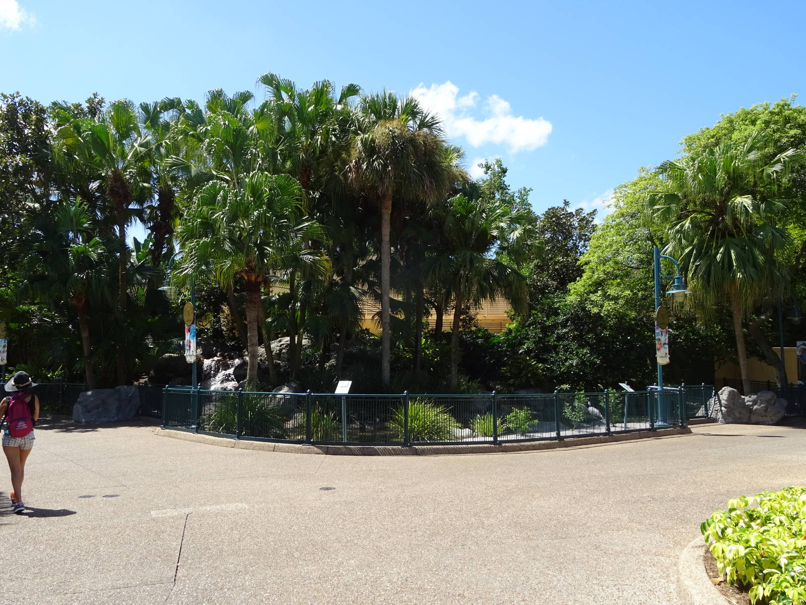 Waterfowl Exhibit at SeaWorld Orlando