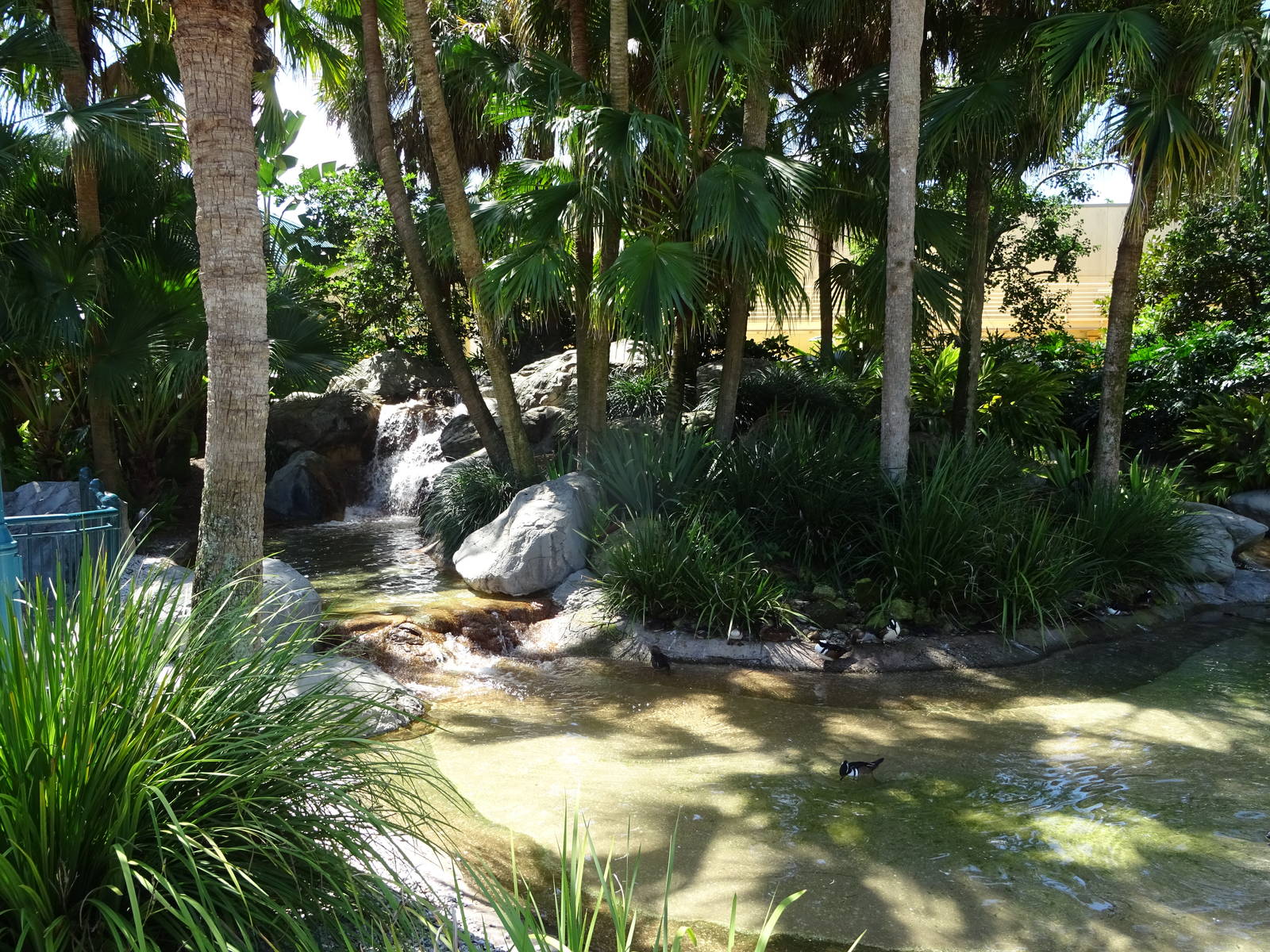 Waterfowl Exhibit at SeaWorld Orlando