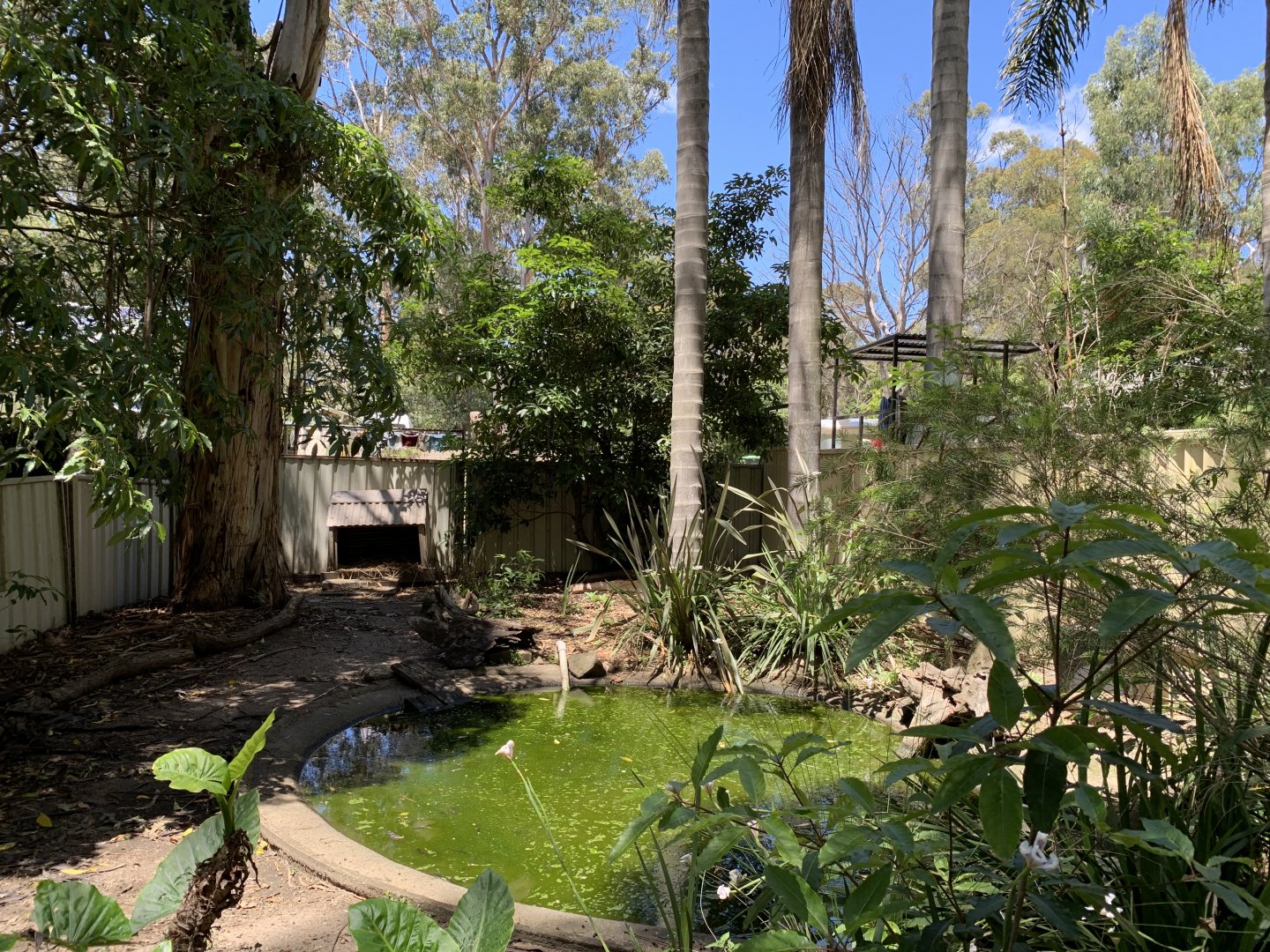 Waterfowl Exhibit (Potoroo Palace)