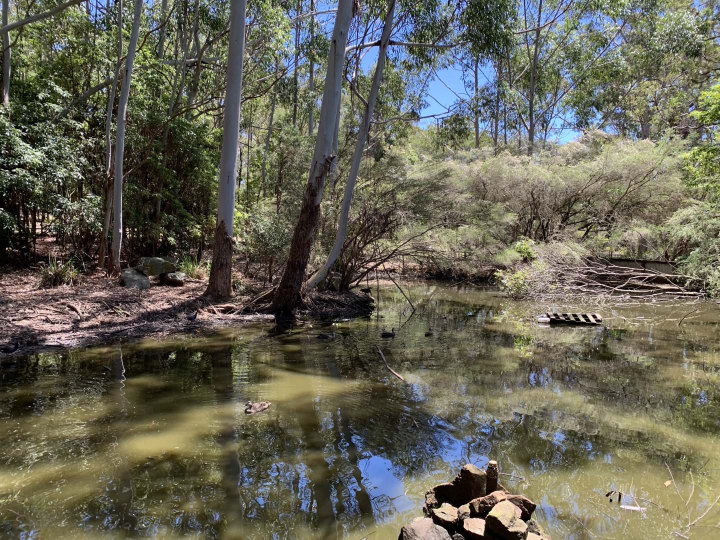 Waterfowl Exhibit (Potoroo Palace)