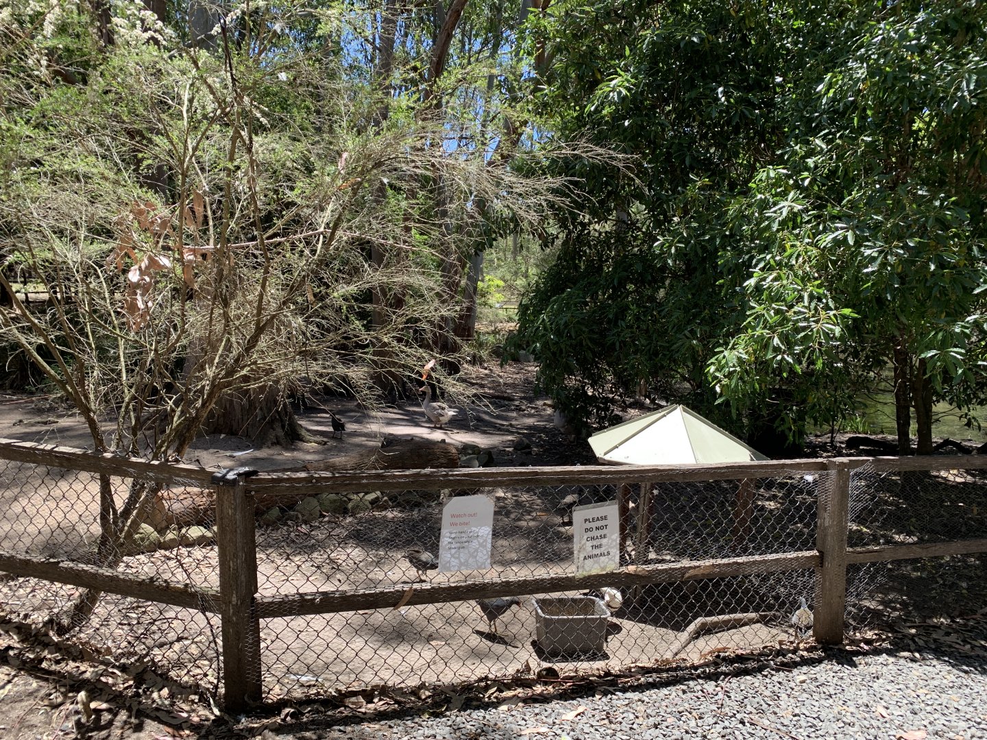 Waterfowl Exhibit (Potoroo Palace)