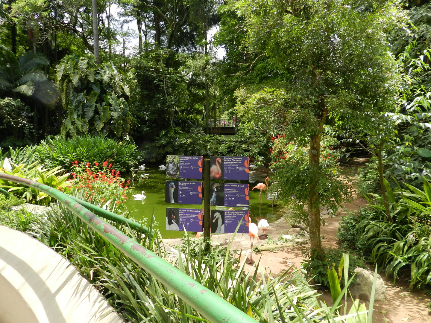 Waterfowl exhibit - Zoo São Paulo