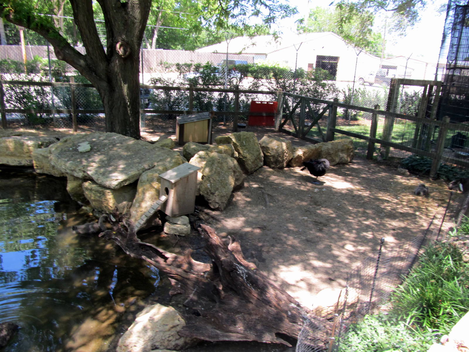 Waterfowl Exhibit