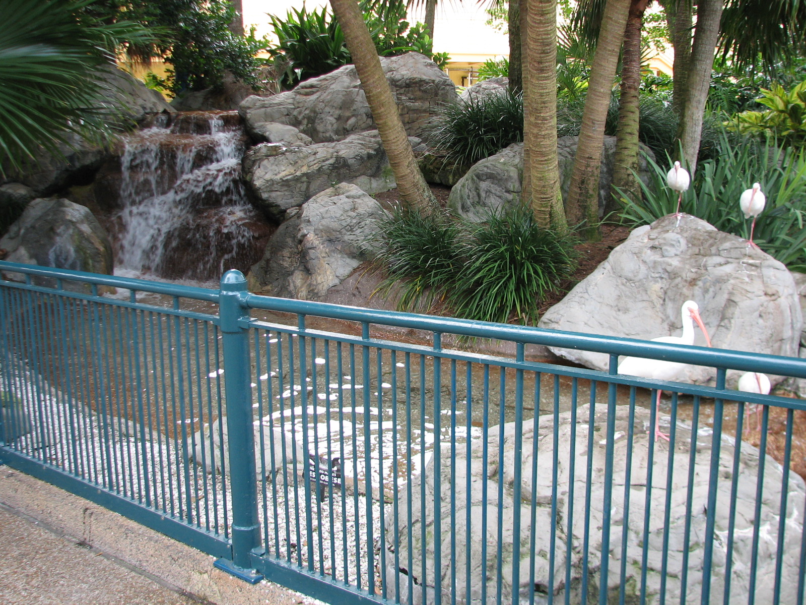 Waterfowl Exhibit