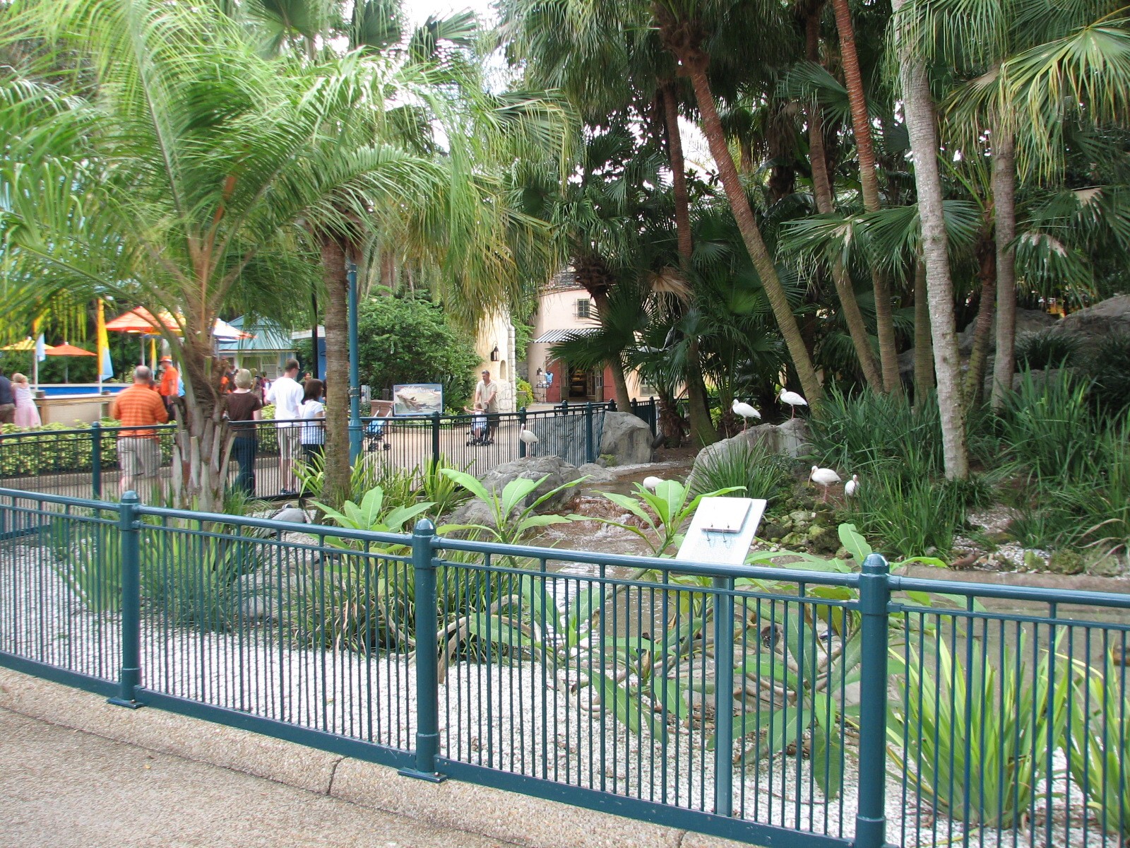 Waterfowl Exhibit