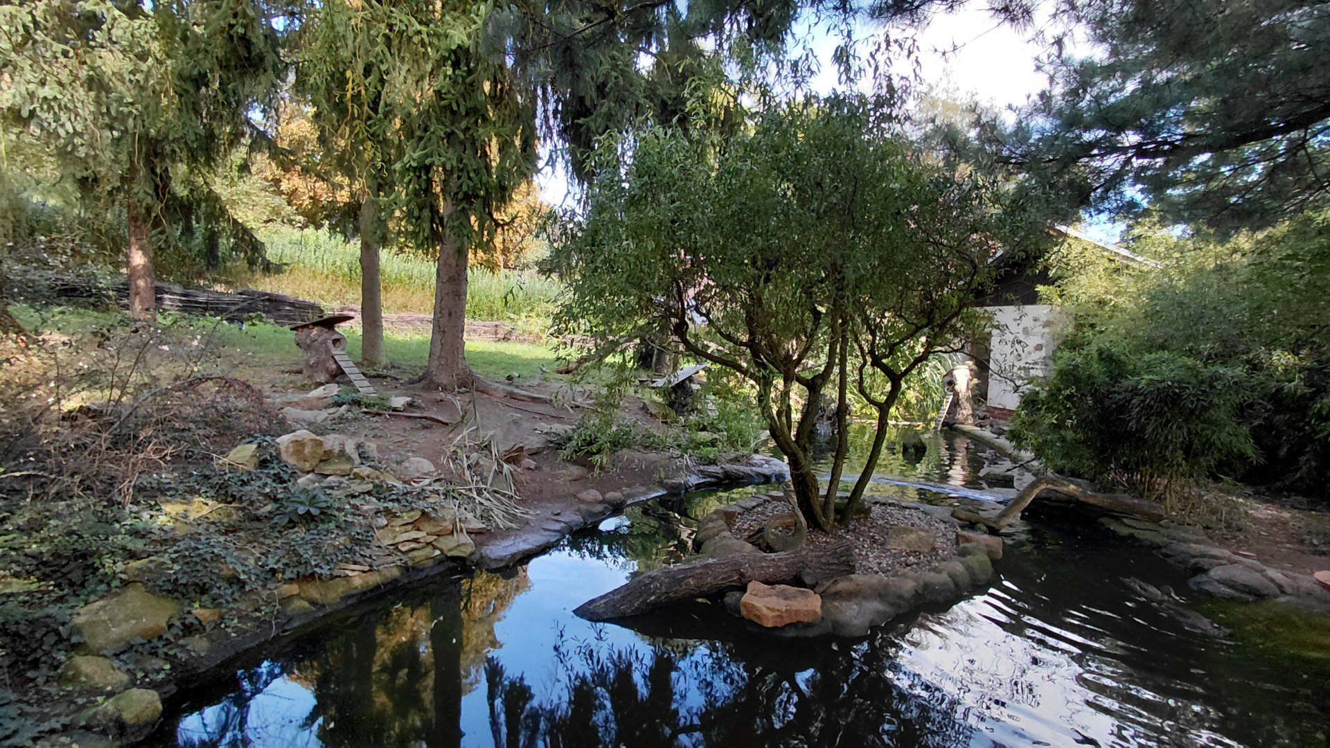 Waterfowl exhibit