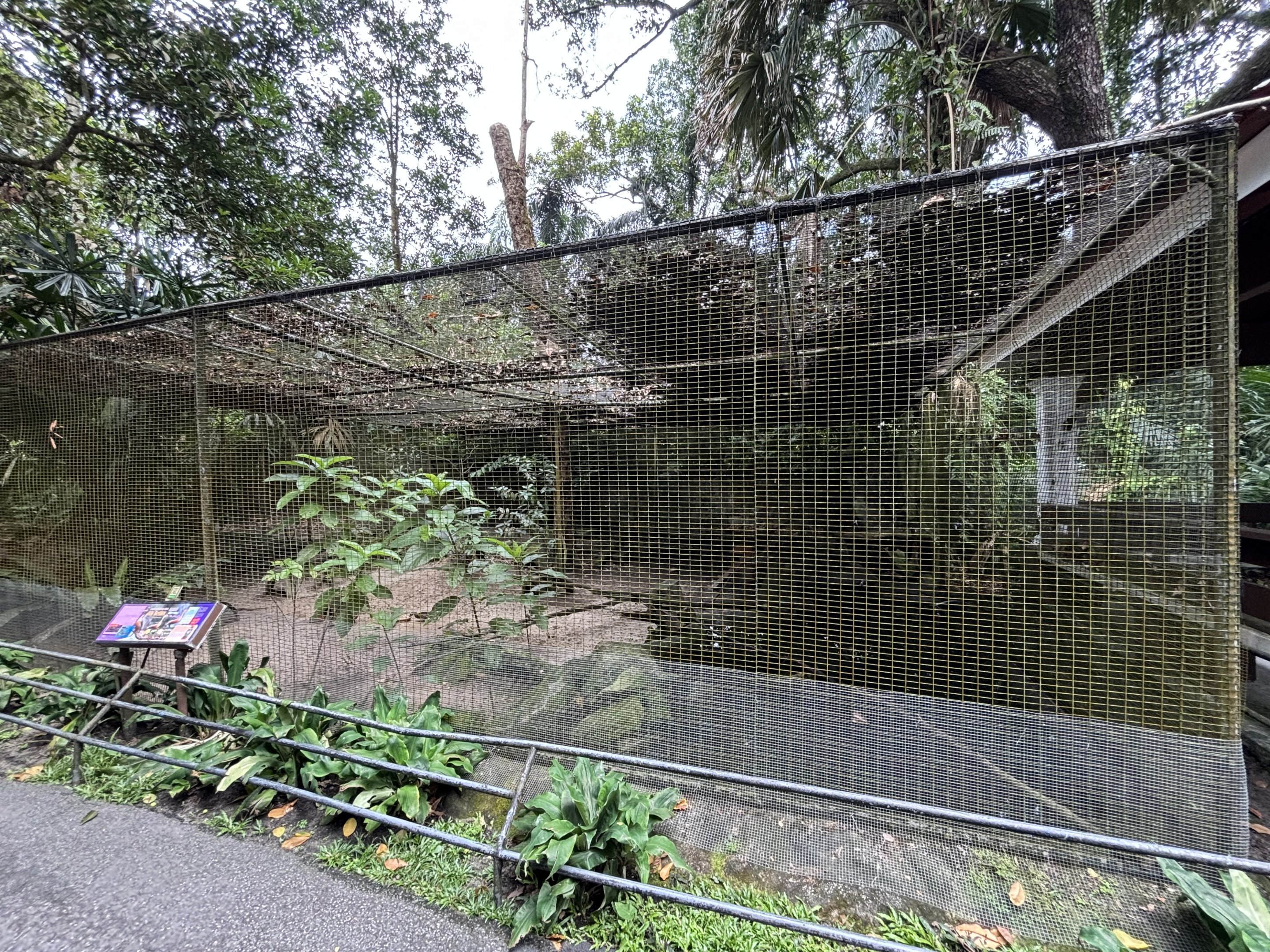 Waterfowl + False Gharial Exhibit #1