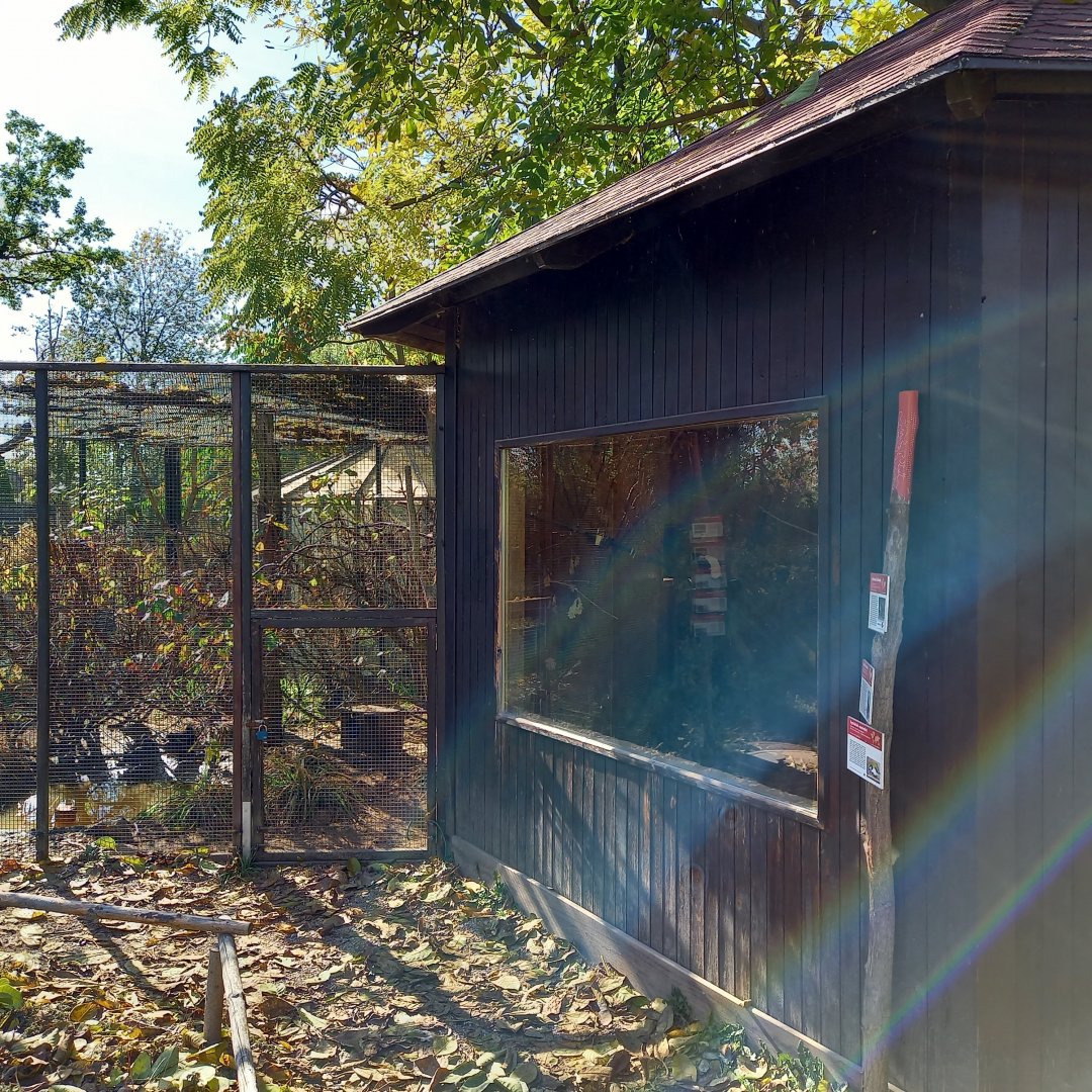 Waterfowl - Honeyeater aviary