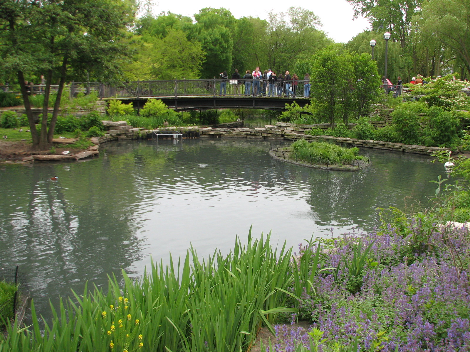 Waterfowl Lagoon - Swan Pond