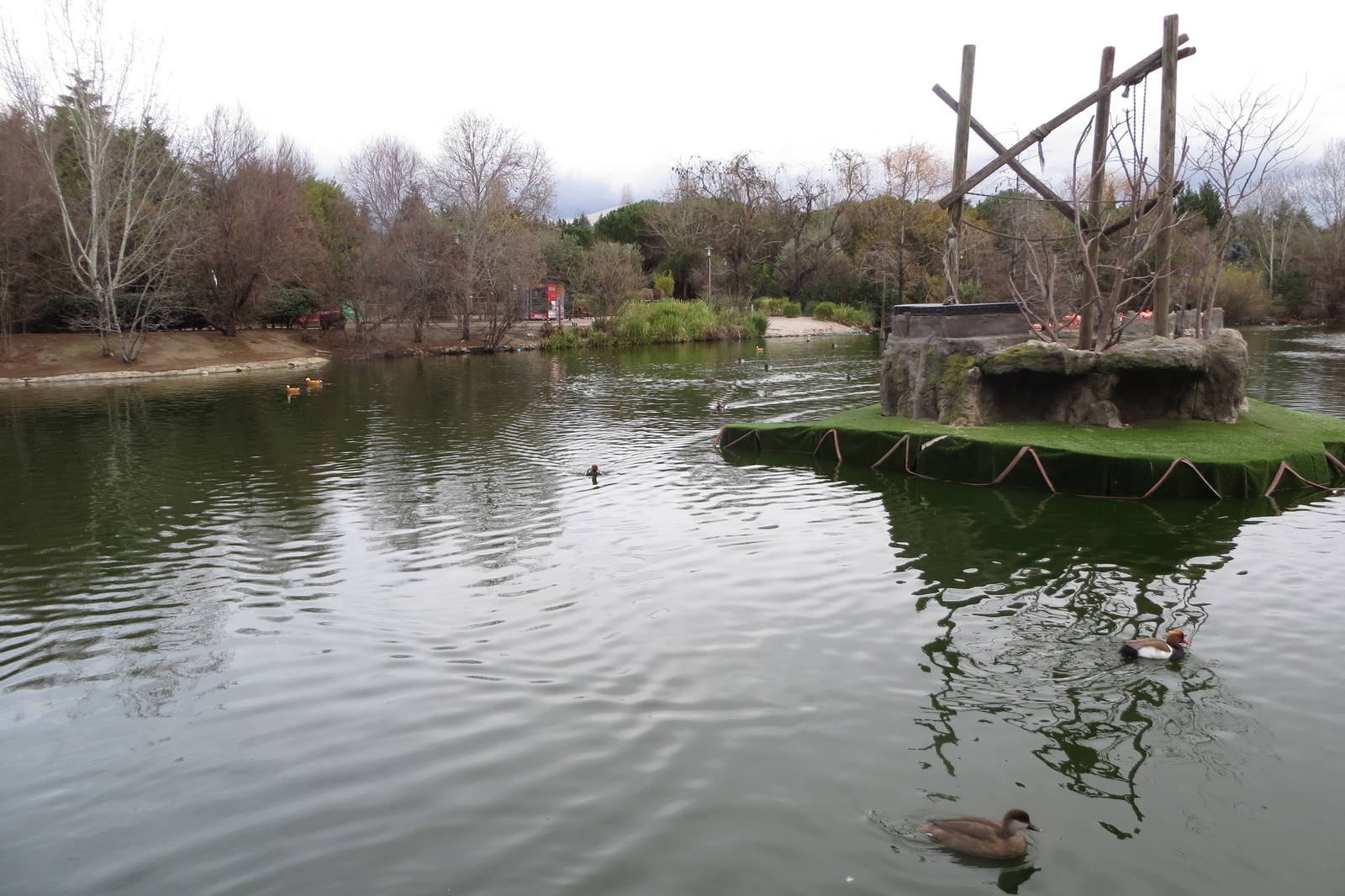 Waterfowl lake and monkey island (capuchins) 140216