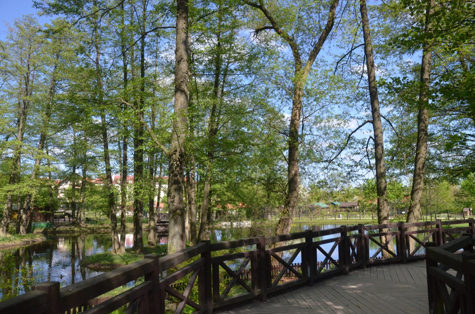 Waterfowl Lake at Akcent Zoo Białystok, 08/05/19