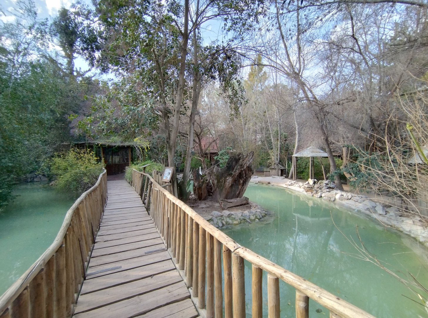 Waterfowl lake - Buin zoo