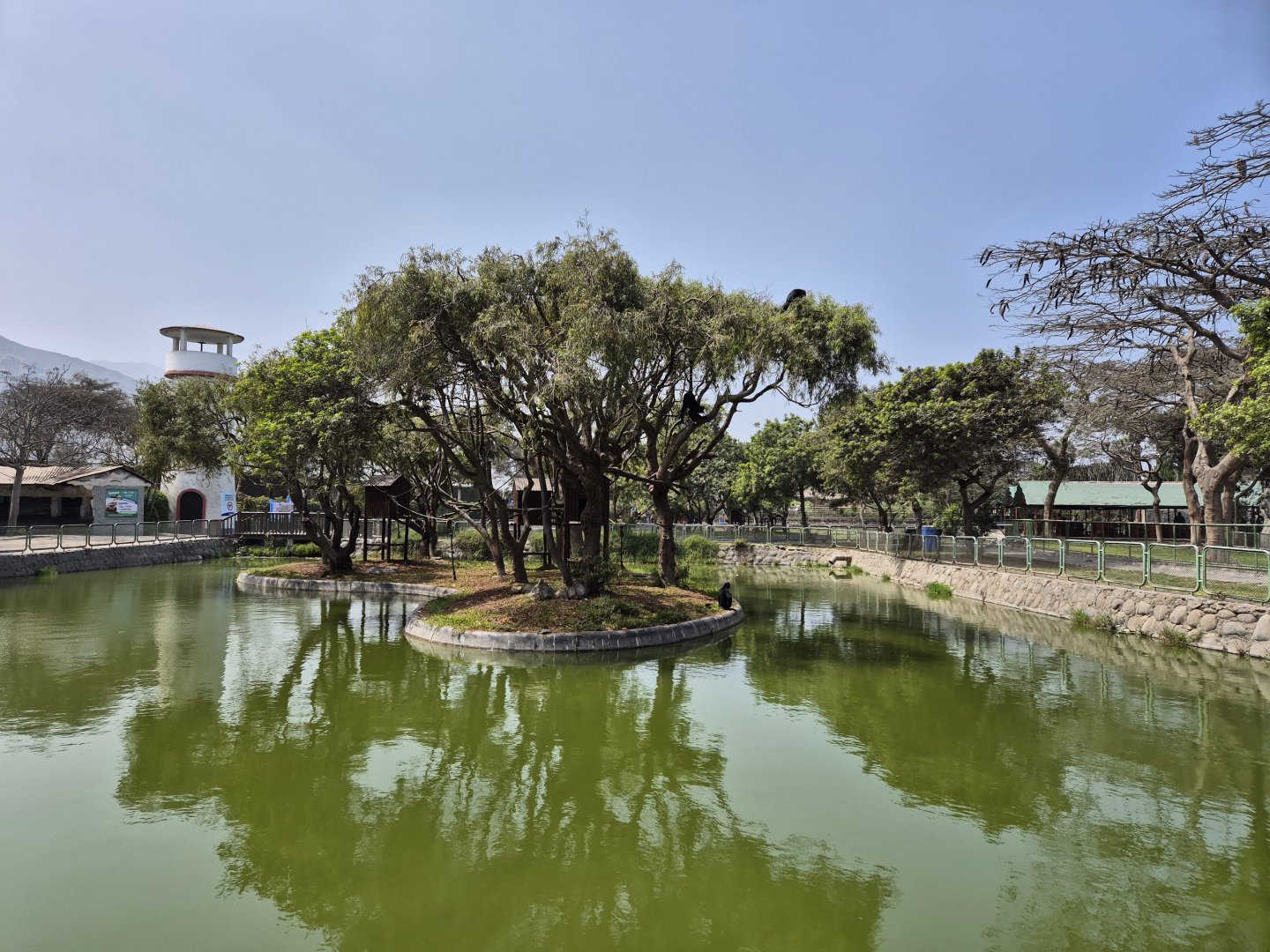 Waterfowl lake with Water Buffalo paddock