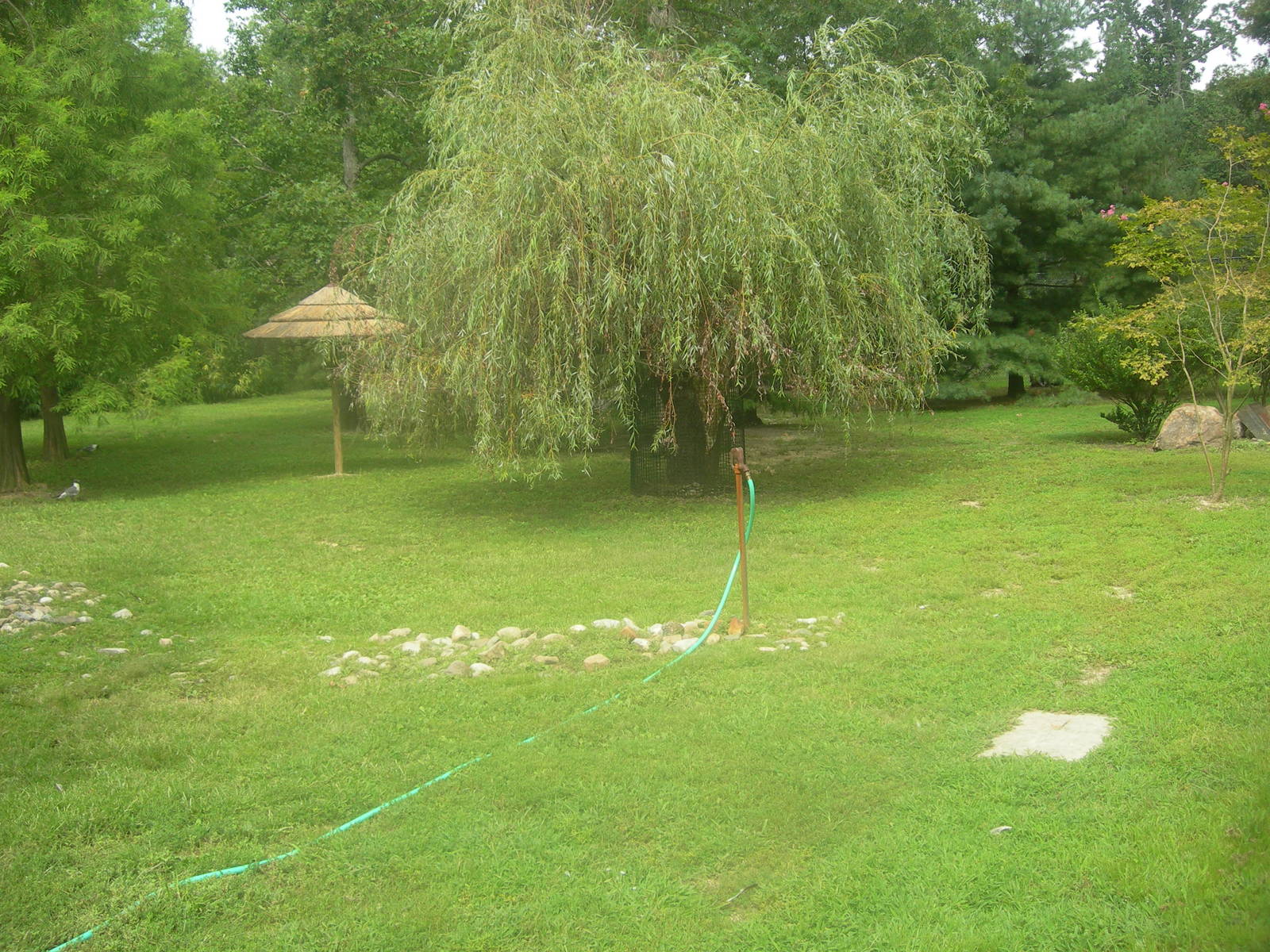 Waterfowl/Muntjac Exhibit