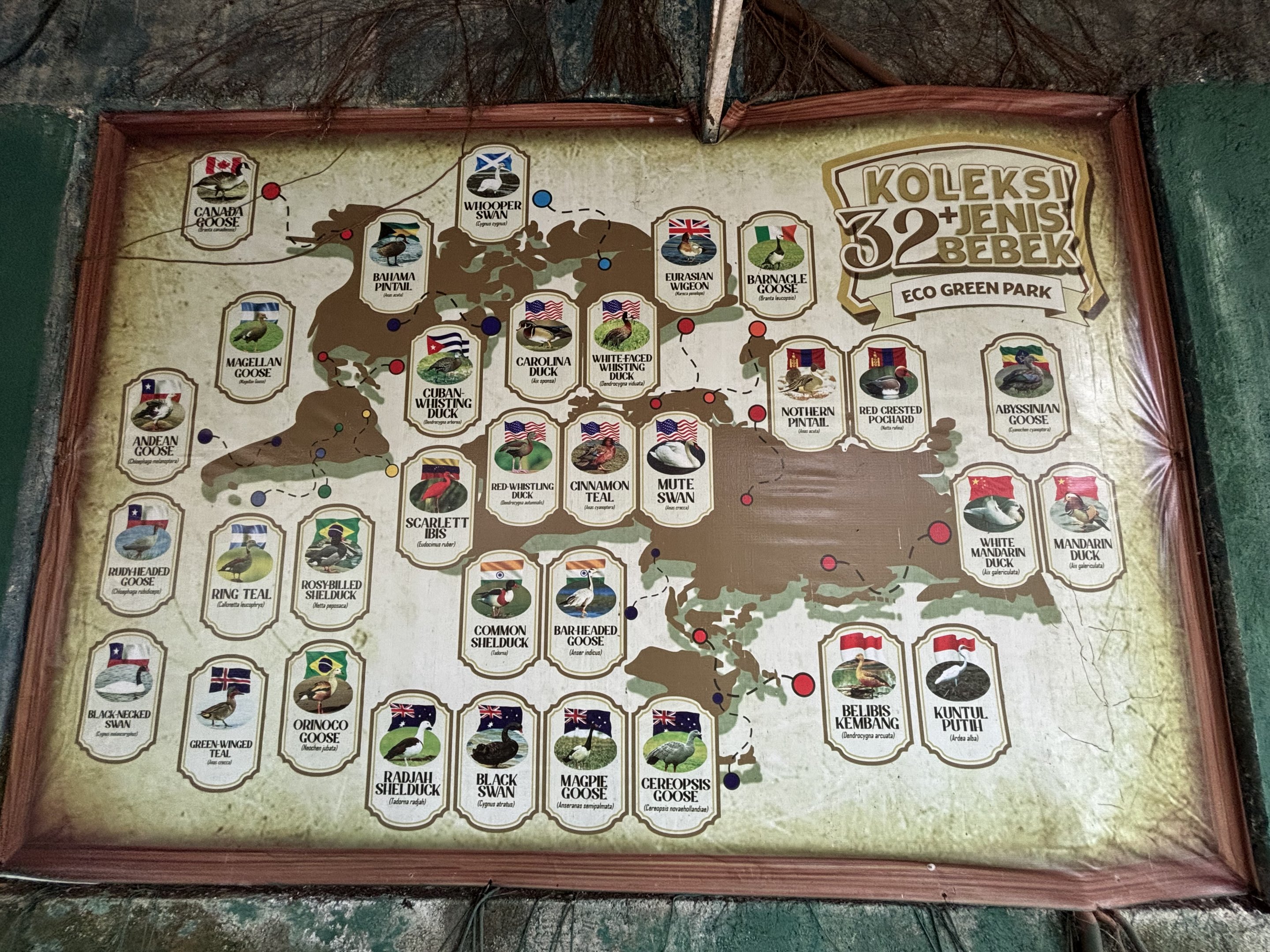 Waterfowl of the World Sign