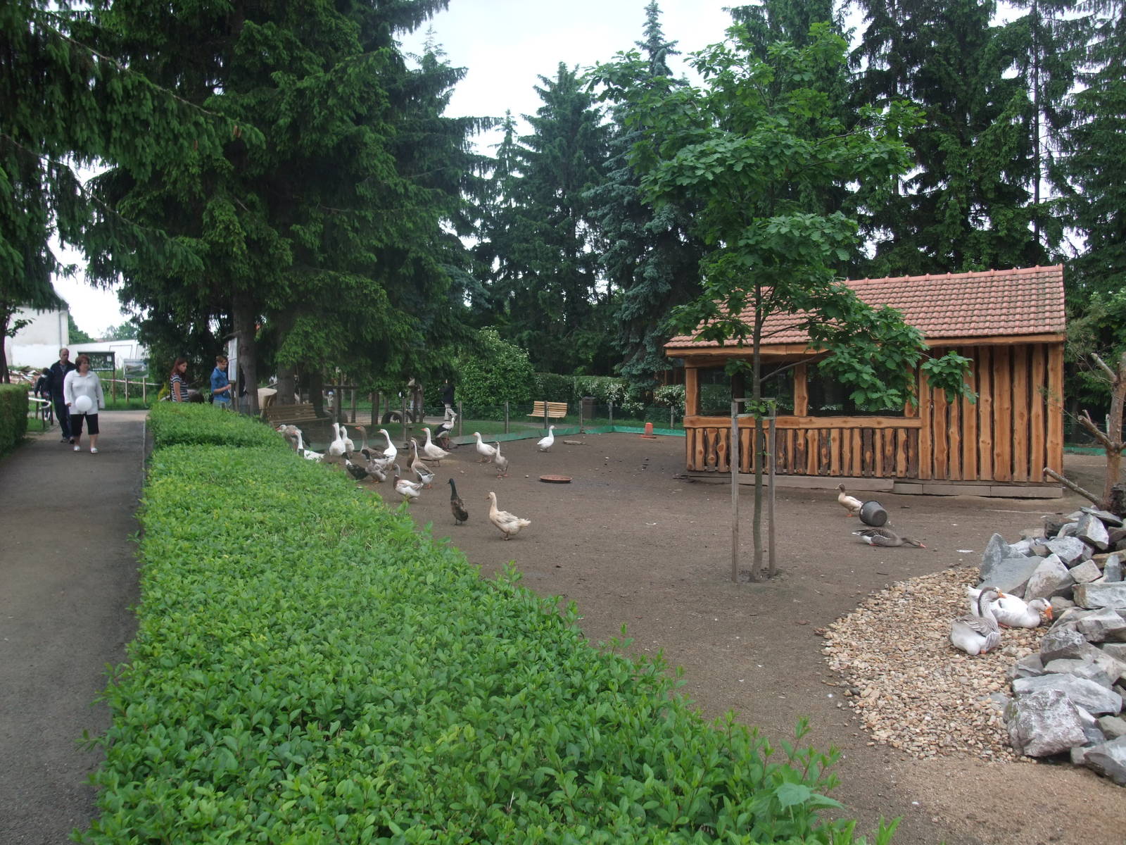 Waterfowl pen at Vyskov, 30/05/10