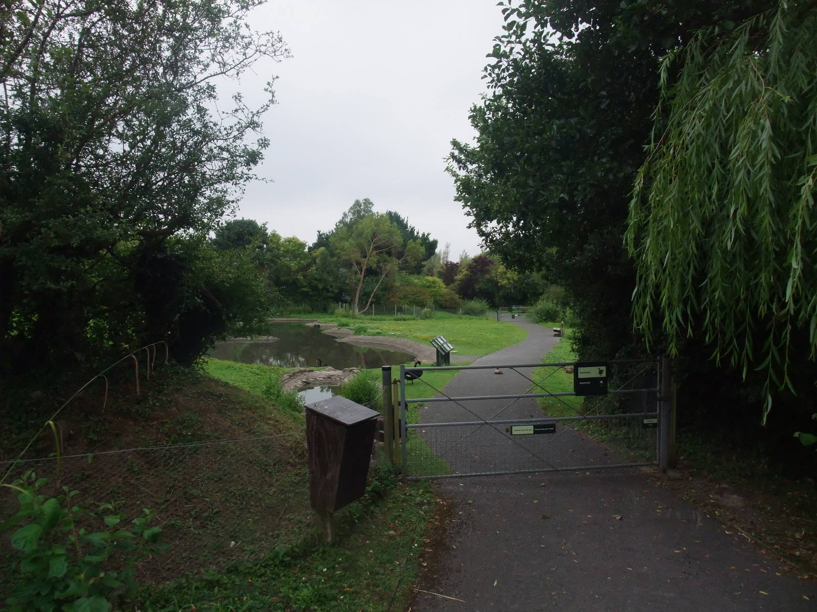 Waterfowl Pens at Llanelli WWT, 31/07/11