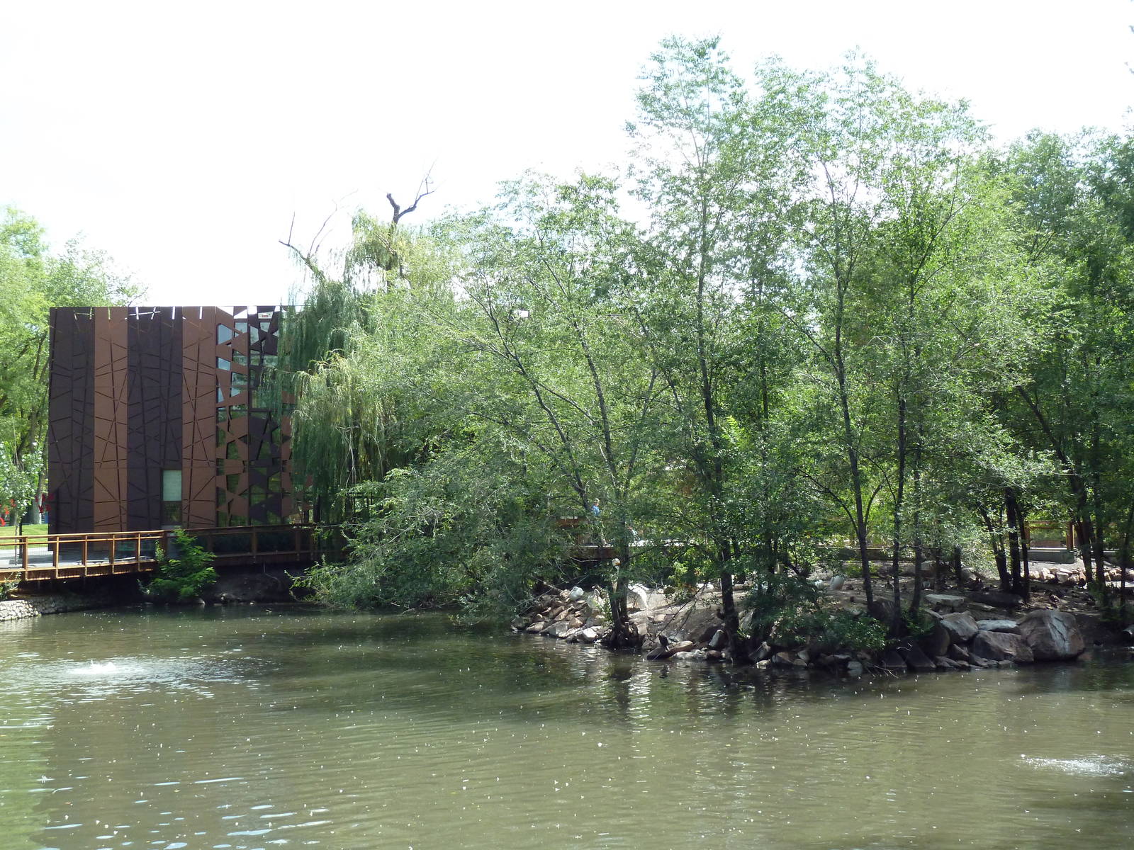 Waterfowl Pond (11 Species)