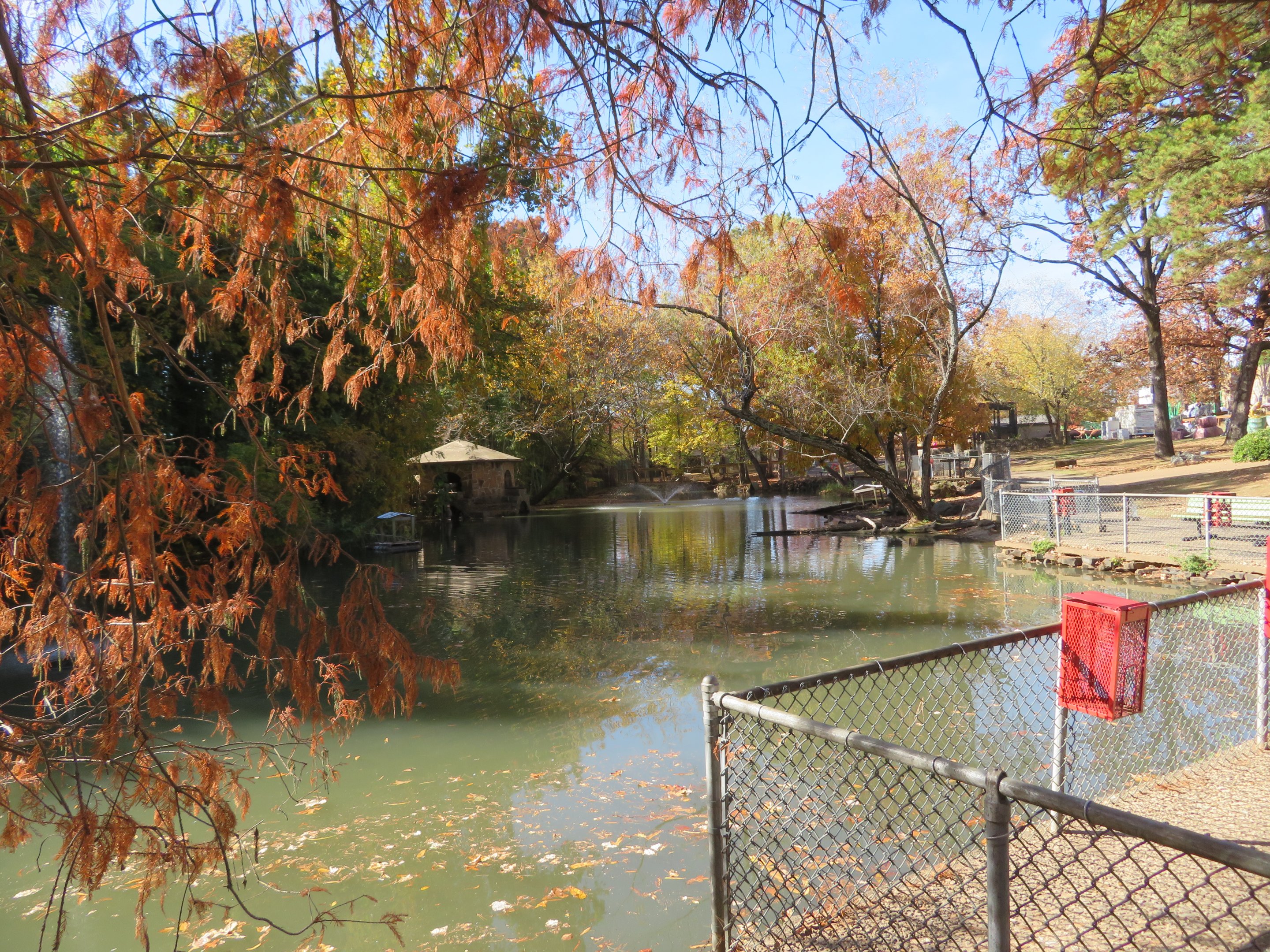 Waterfowl Pond (5 spp)