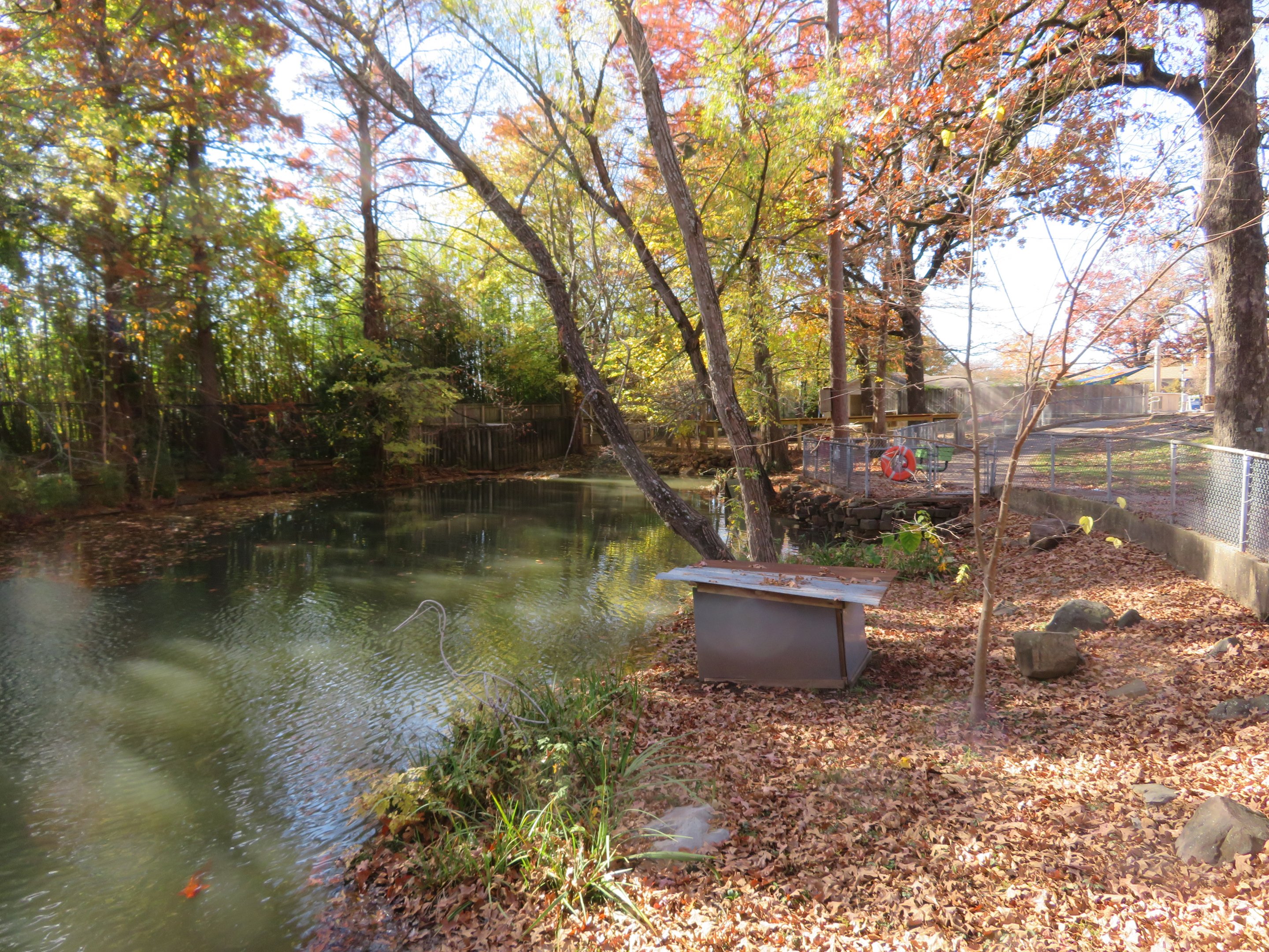 Waterfowl Pond (5 spp)