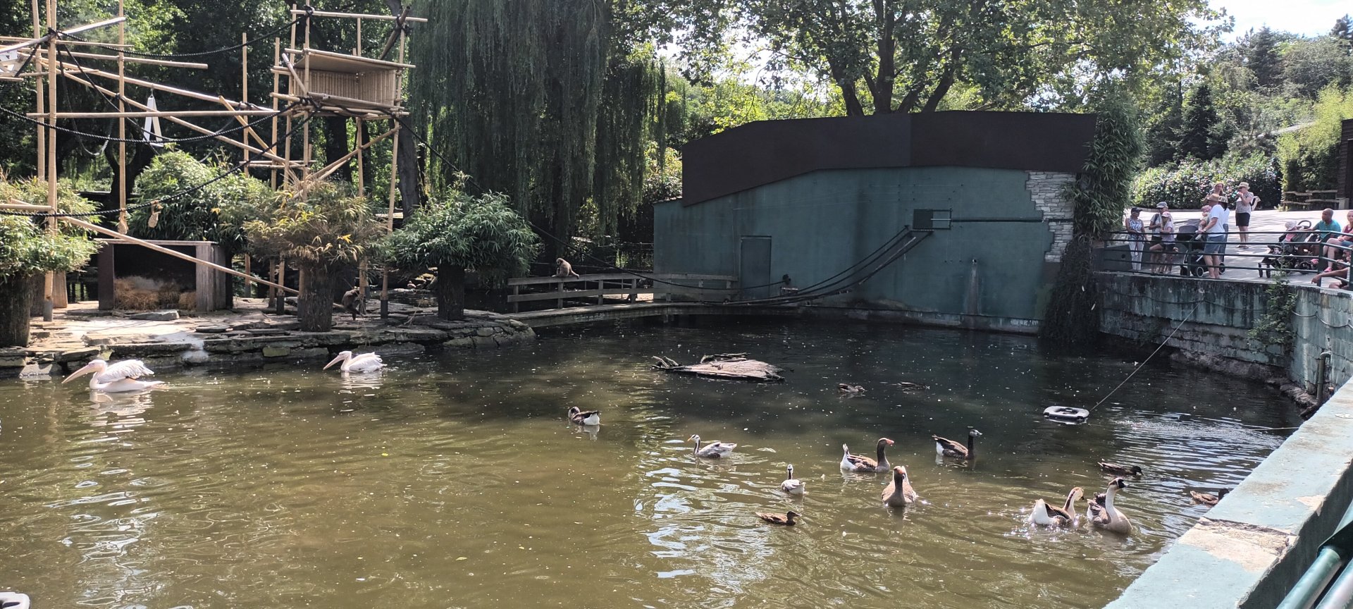 Waterfowl Pond and Gibbon Island
