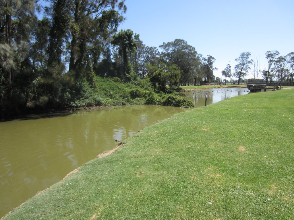 Waterfowl Pond and island