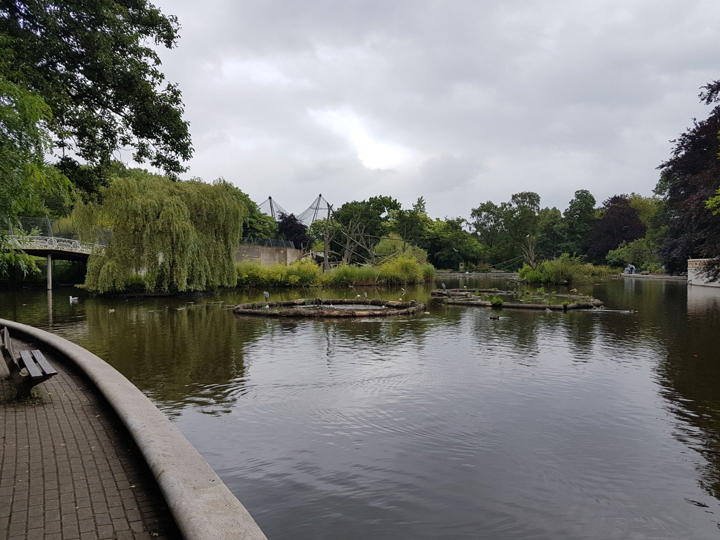 Waterfowl-pond and Lemur-island