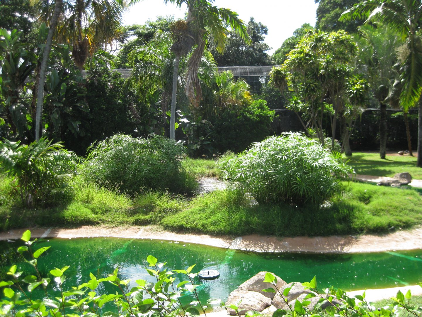Waterfowl pond and tropical aviary in background