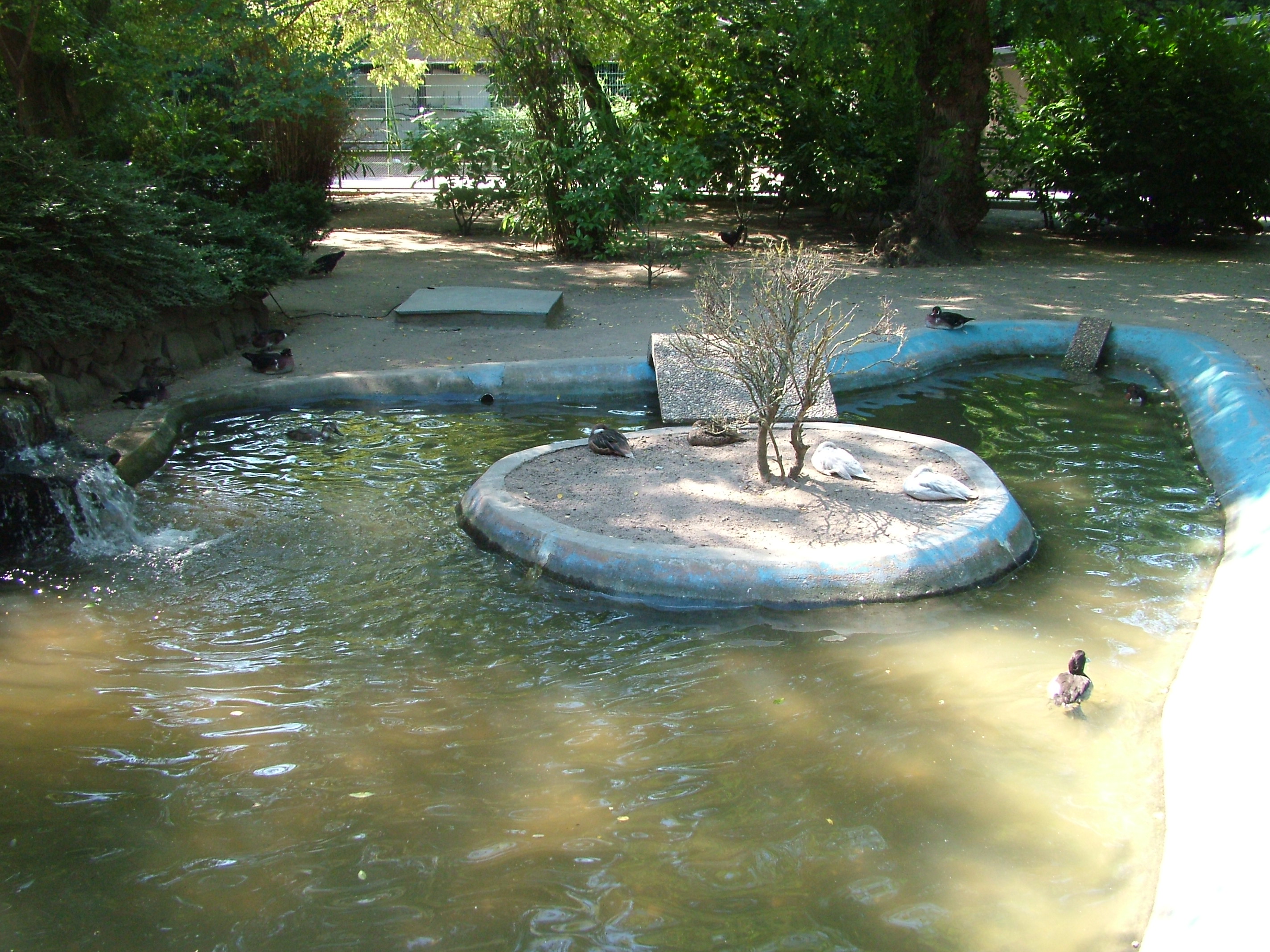 Waterfowl Pond at Vogelpark Birkenheide, 6th Sept 2010
