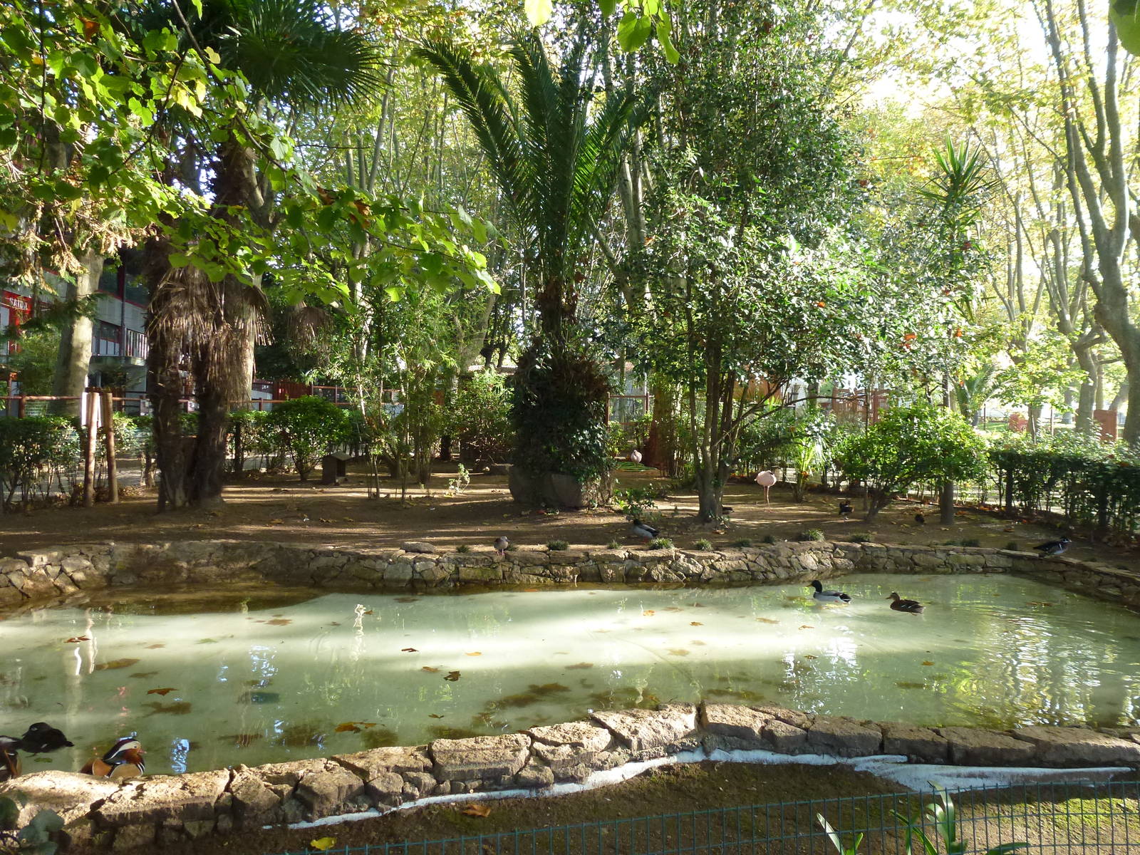 Waterfowl pond, November 2013.