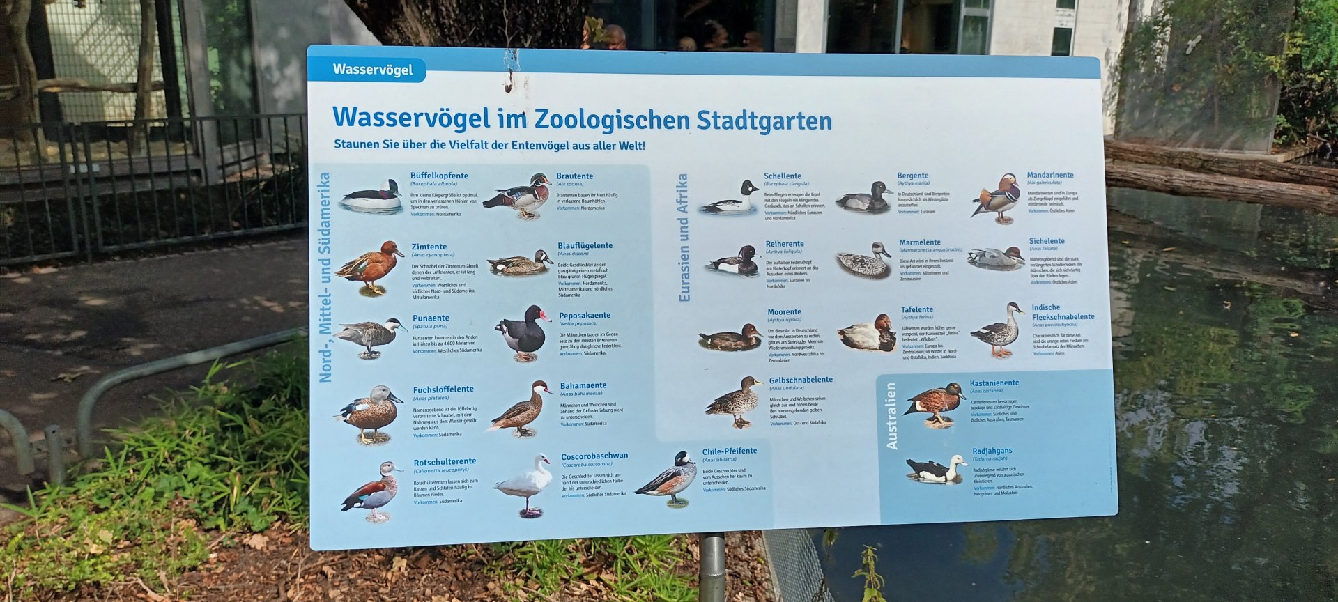 Waterfowl Pond Signage