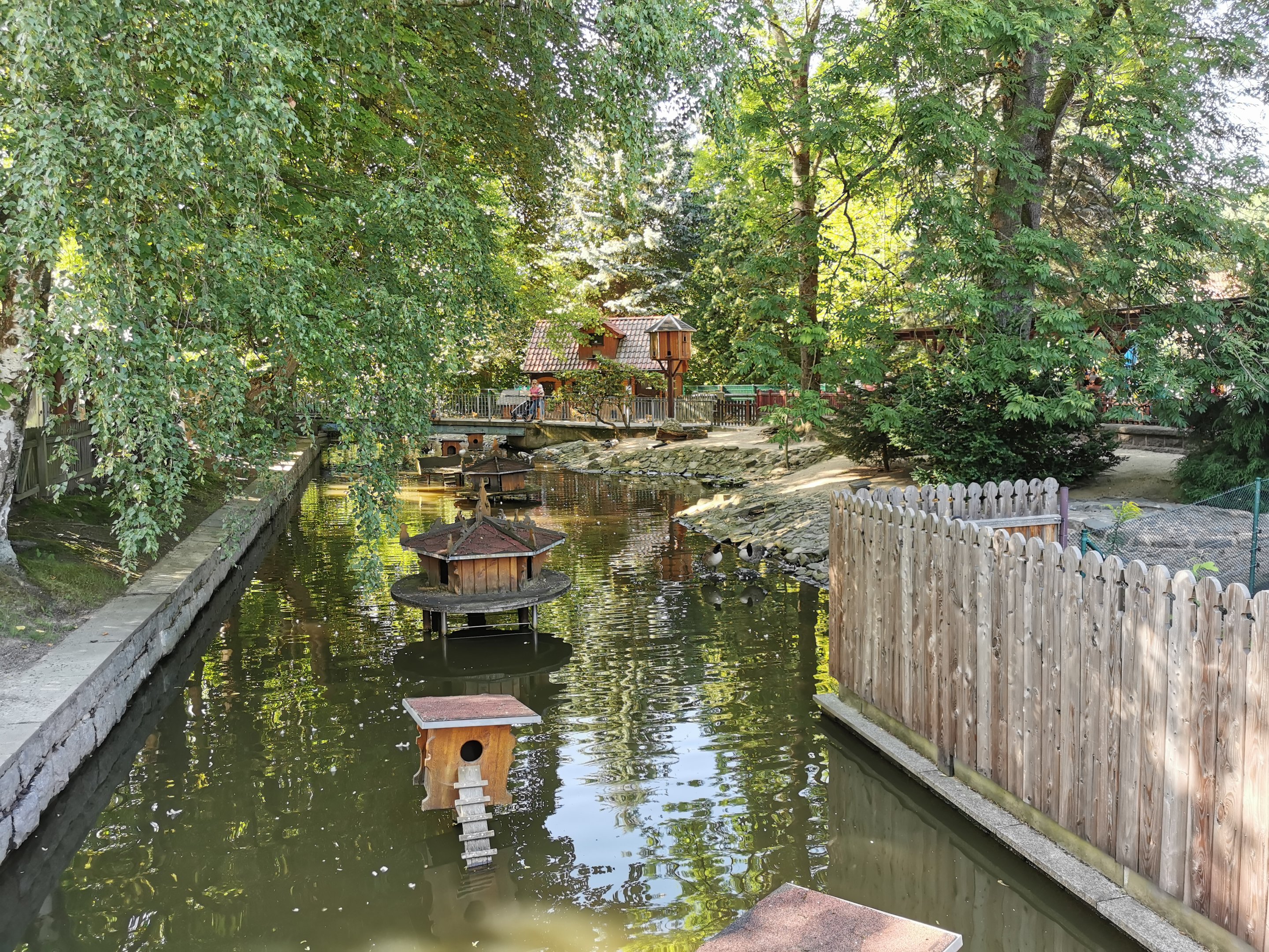 Waterfowl pond - Tierpark Bischofswerda