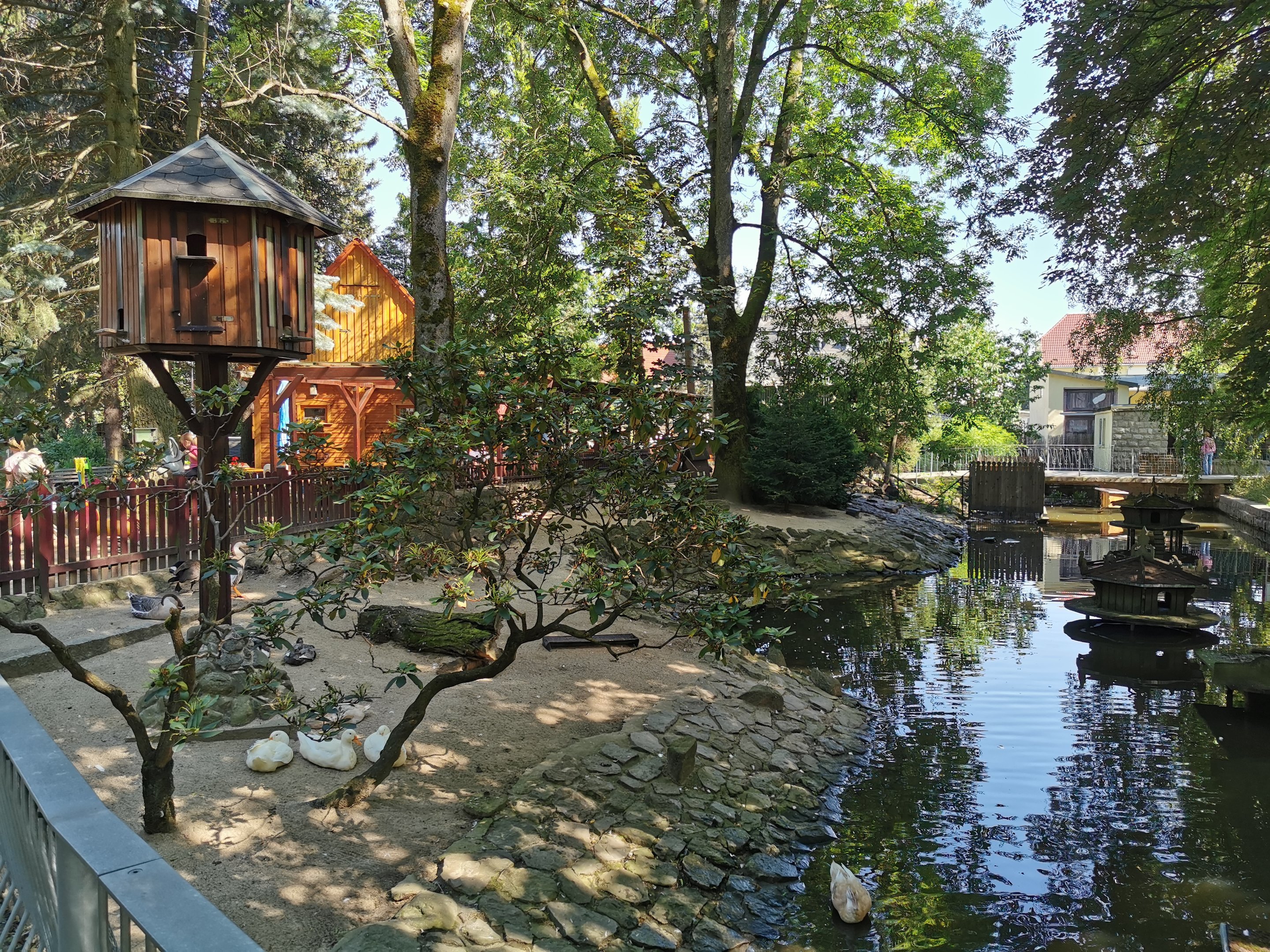 Waterfowl pond - Tierpark Bischofswerda