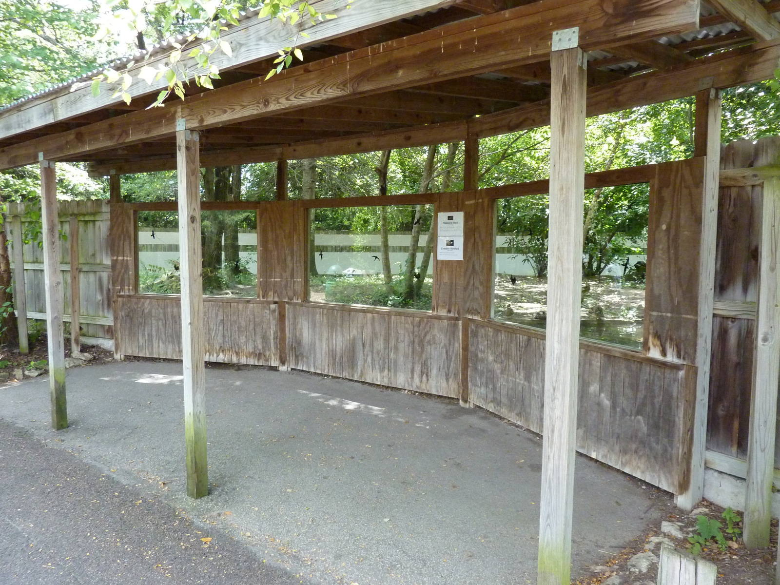 Waterfowl Pond - Viewing Windows