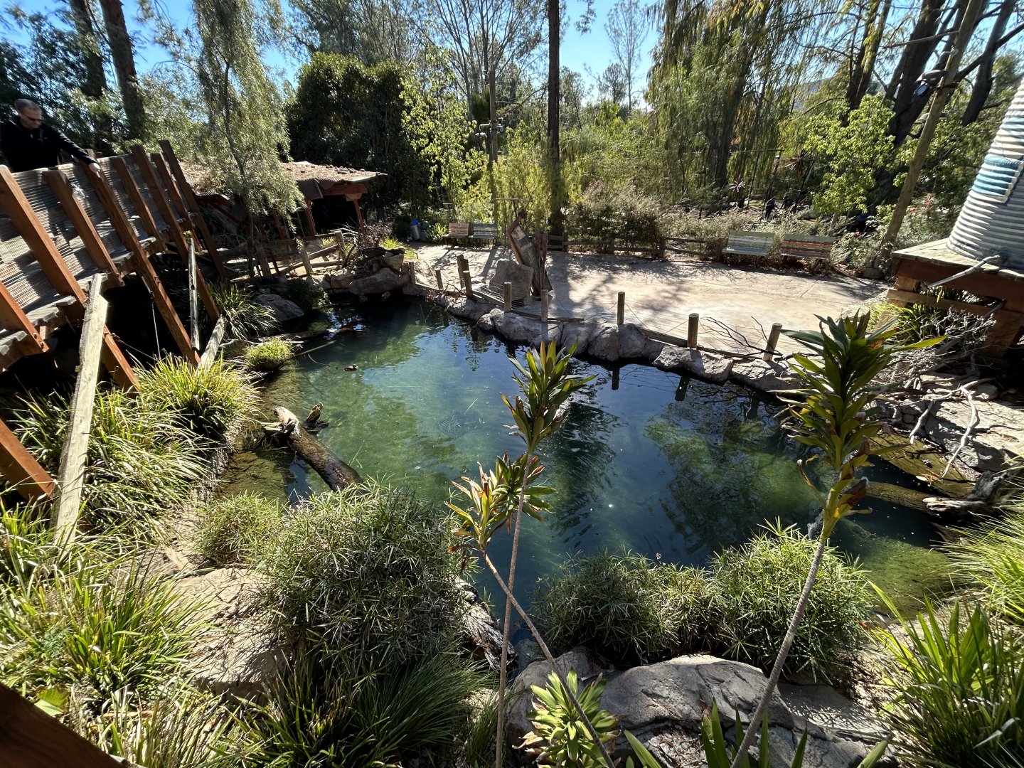 Waterfowl Pond - Walkabout Australia