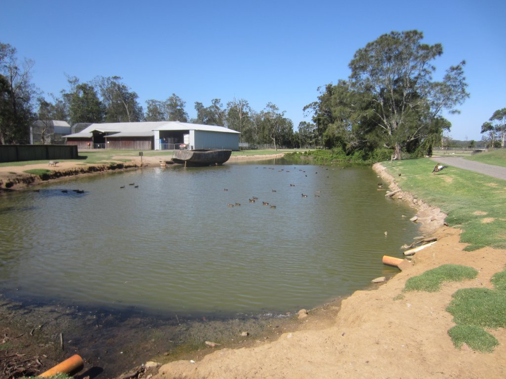 Waterfowl Pond