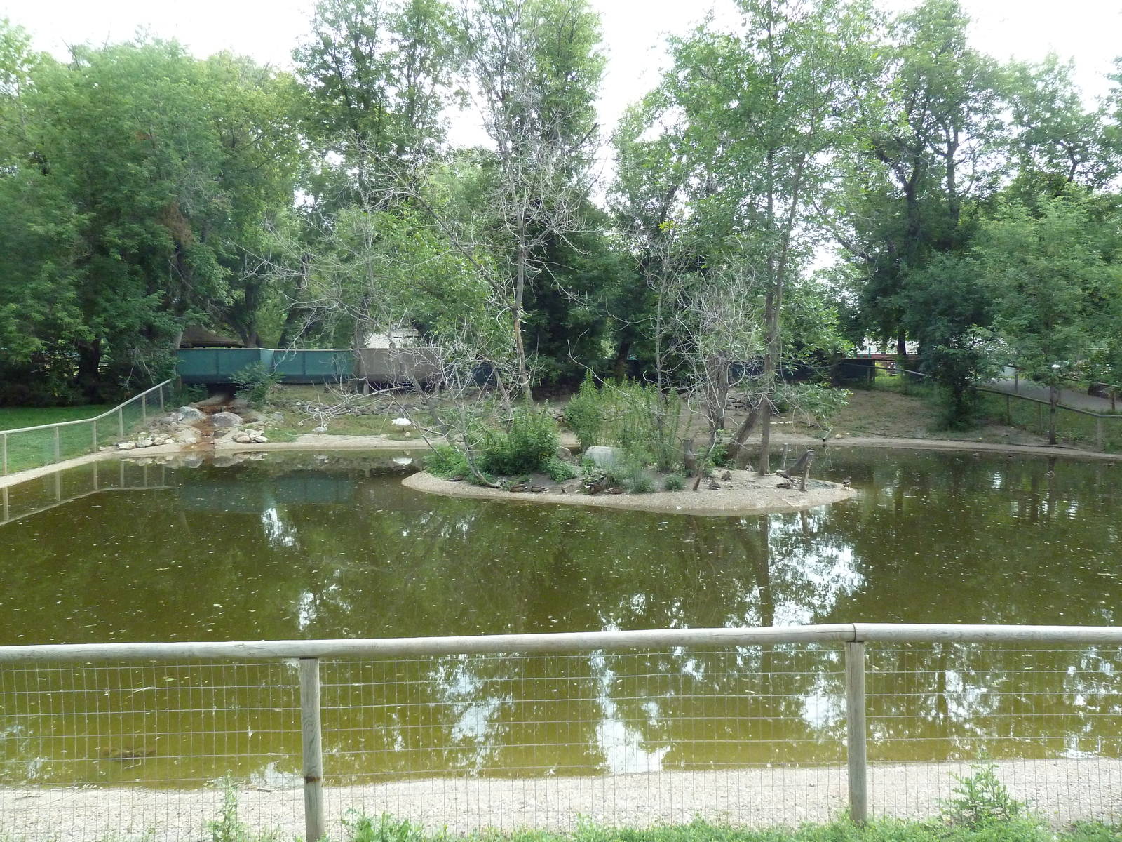 Waterfowl Pond