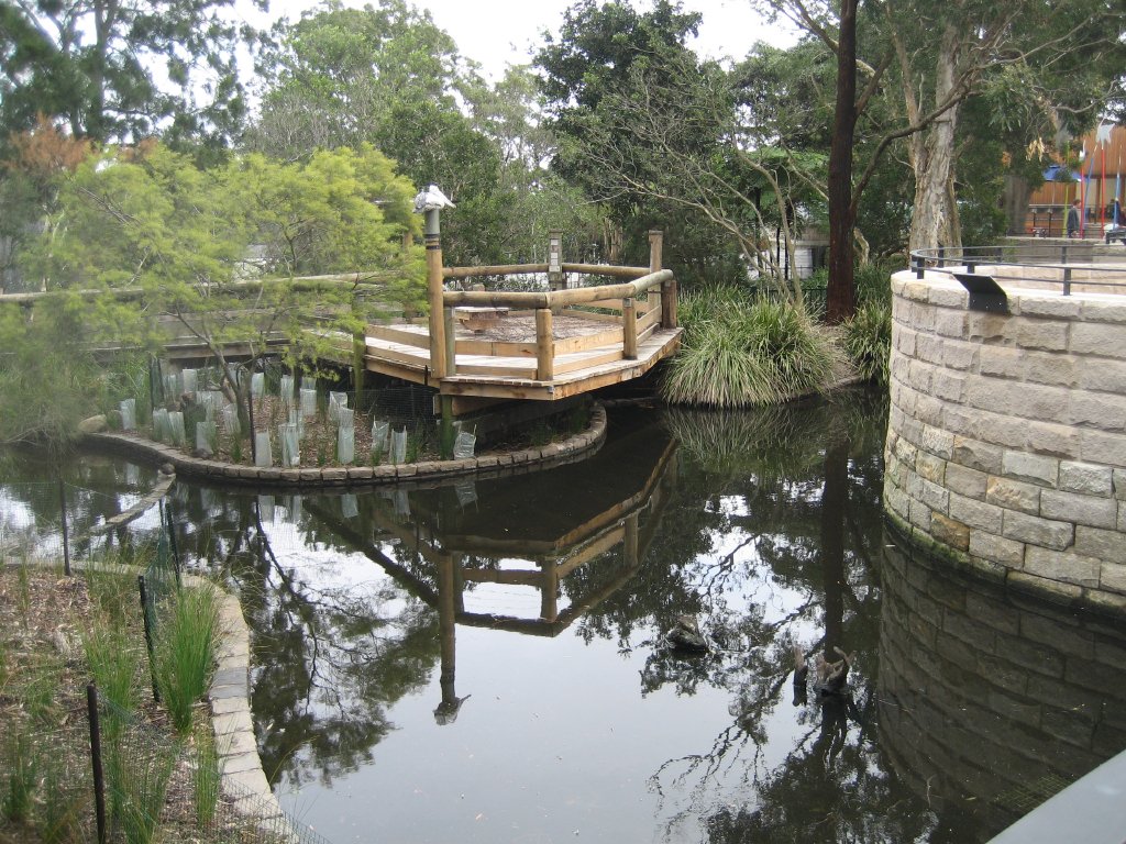 Waterfowl Ponds viewed from inside the new Entry precinct