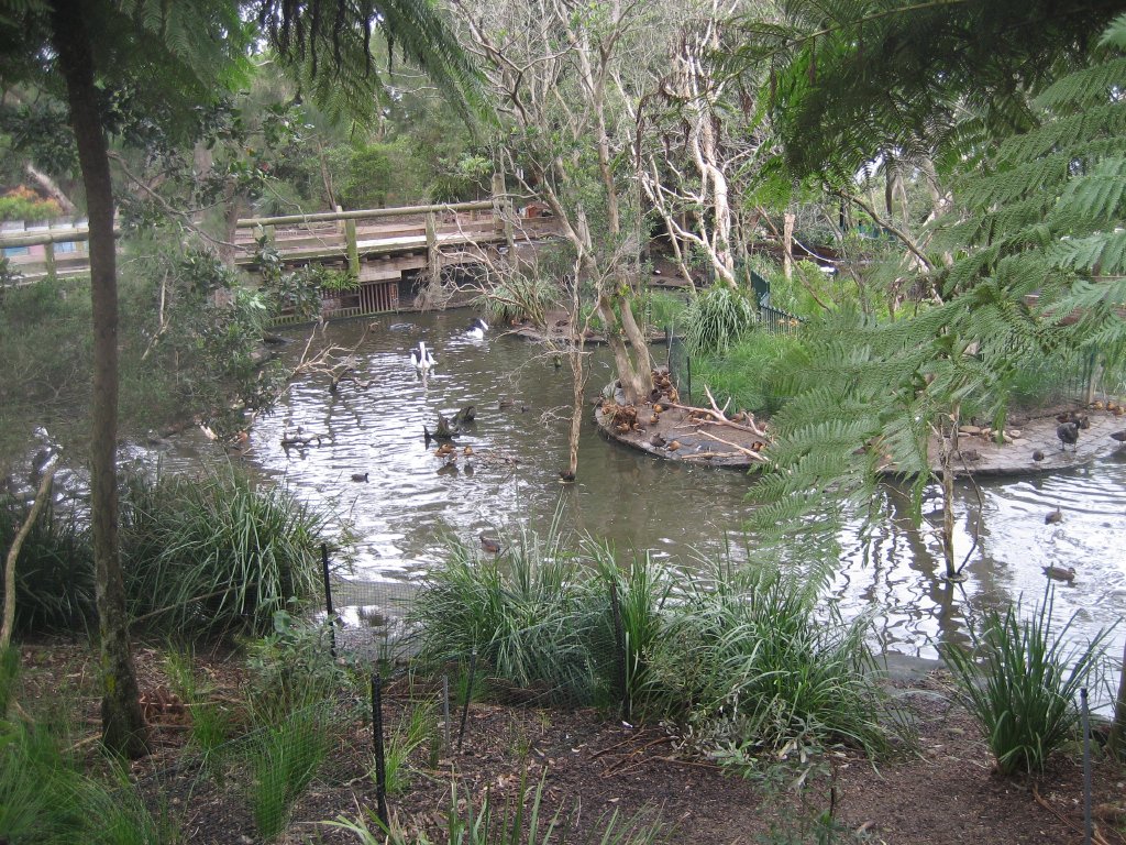 Waterfowl Ponds viewed from inside the new Entry precinct