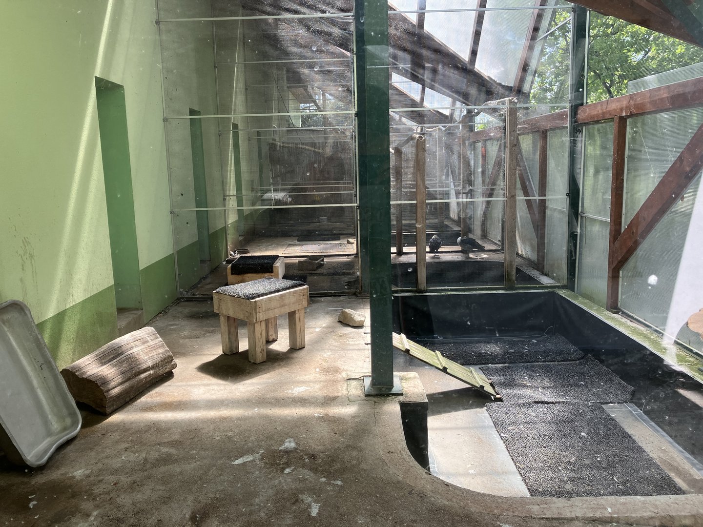 Waterfowl separation enclosures