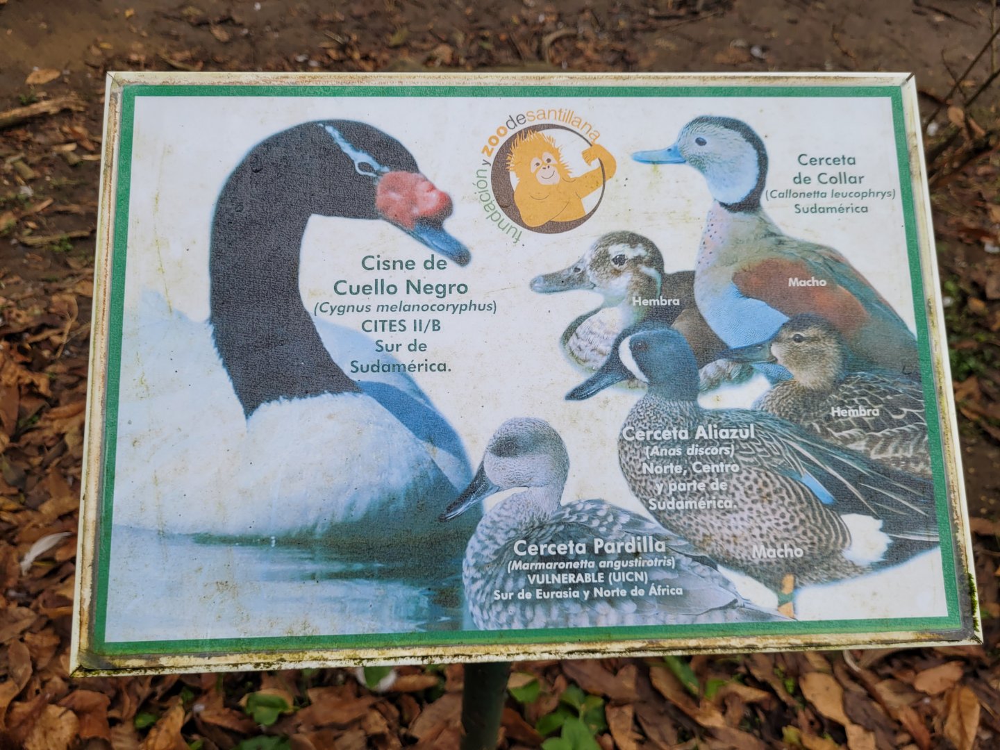Waterfowl sign -Zoo de Santillana del Mar (2023)
