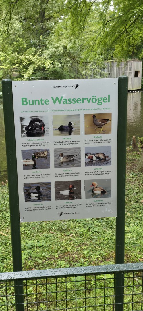 Waterfowl sign