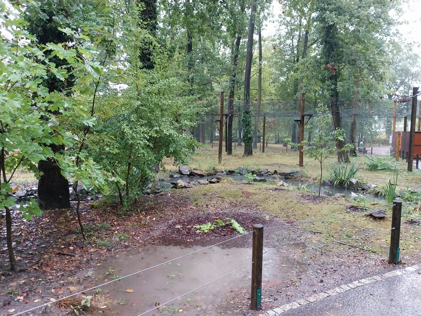 Waterfowl walk-through aviary