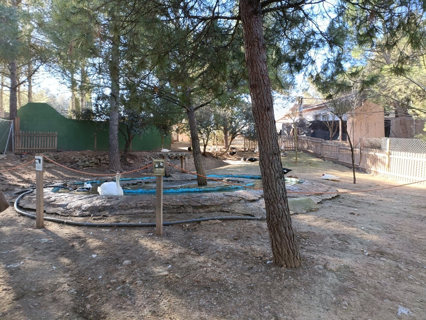 Waterfowl walkthrough - Bioparque La Rocha