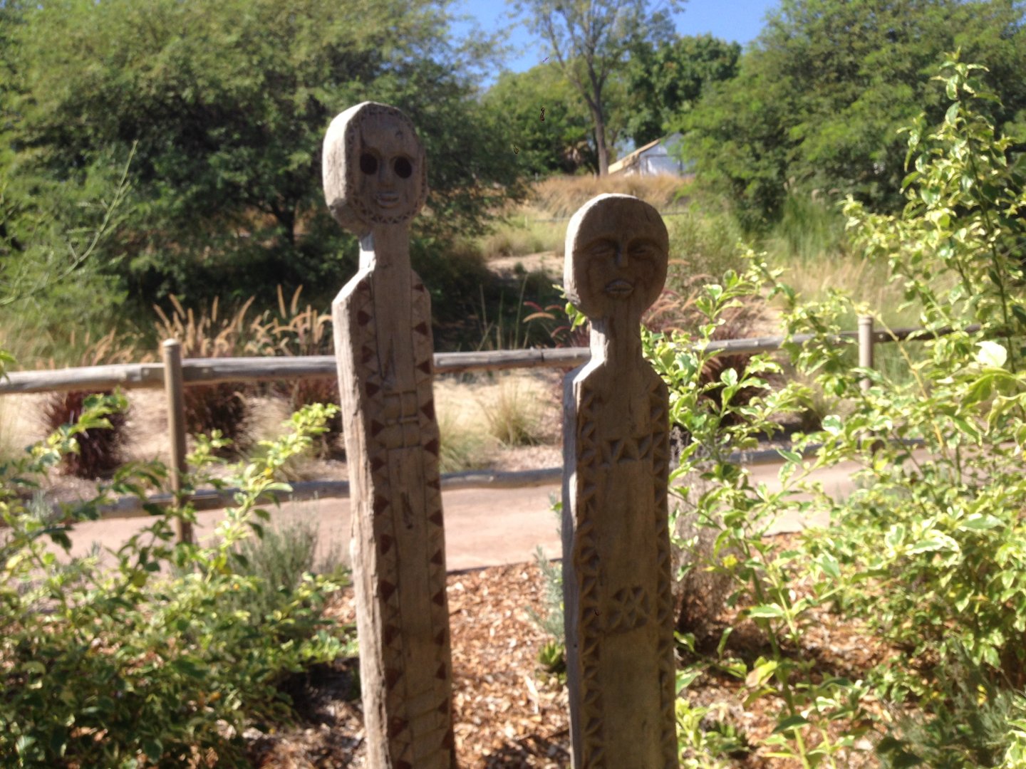 Watering Hole Decor 1