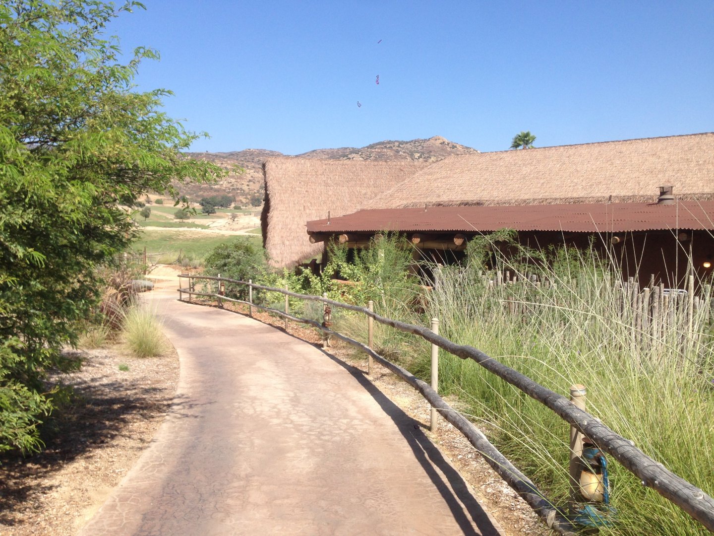 Watering Hole Entrance Path