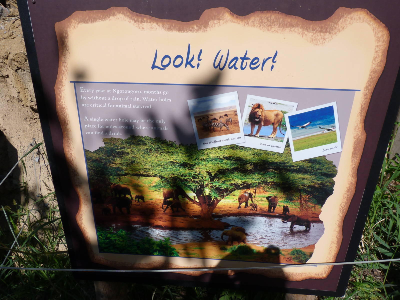 Watering Hole Sign: A Step Into Africa 9-2-12