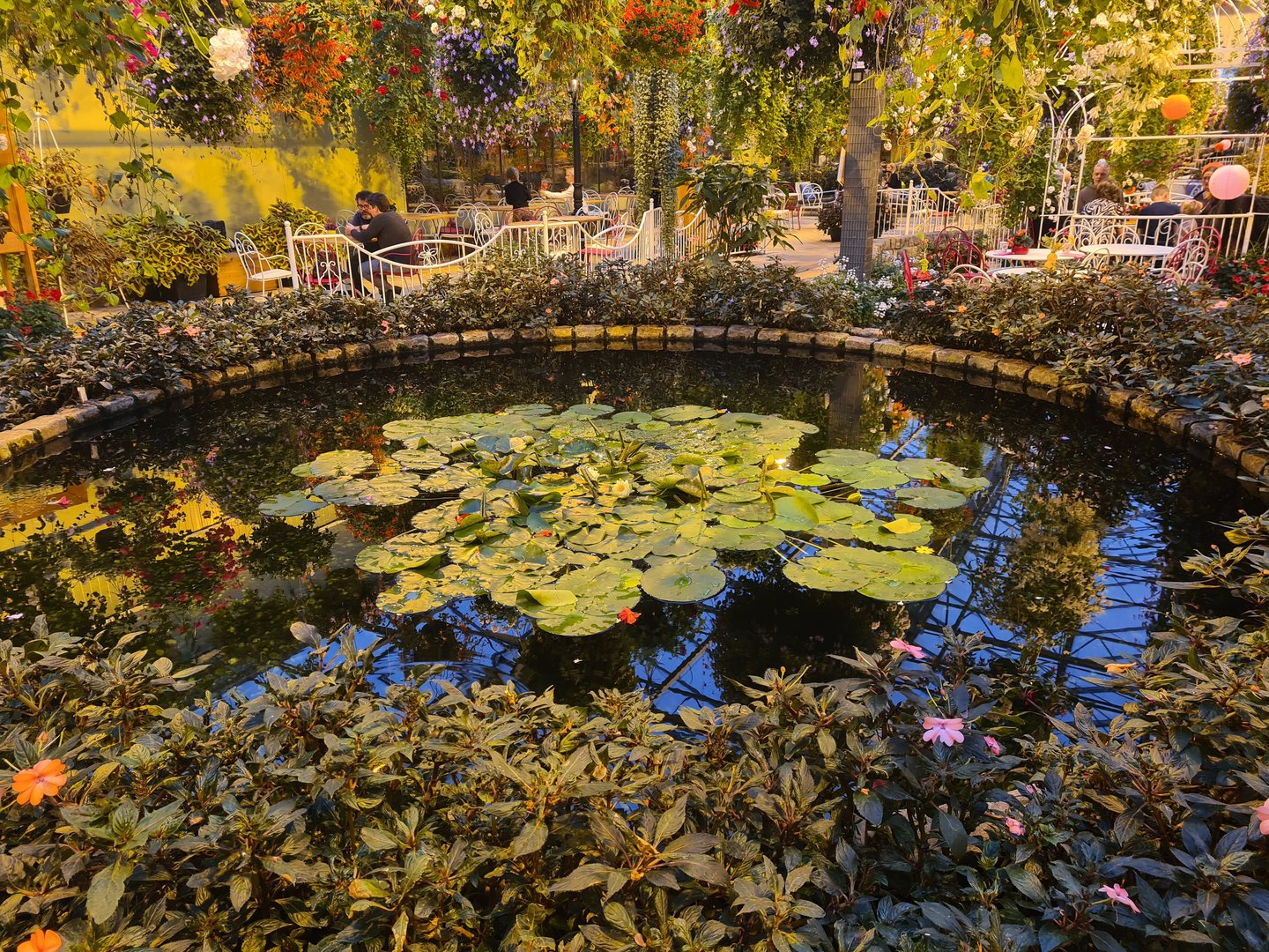 Waterlily pond in hanging gardens restaurant